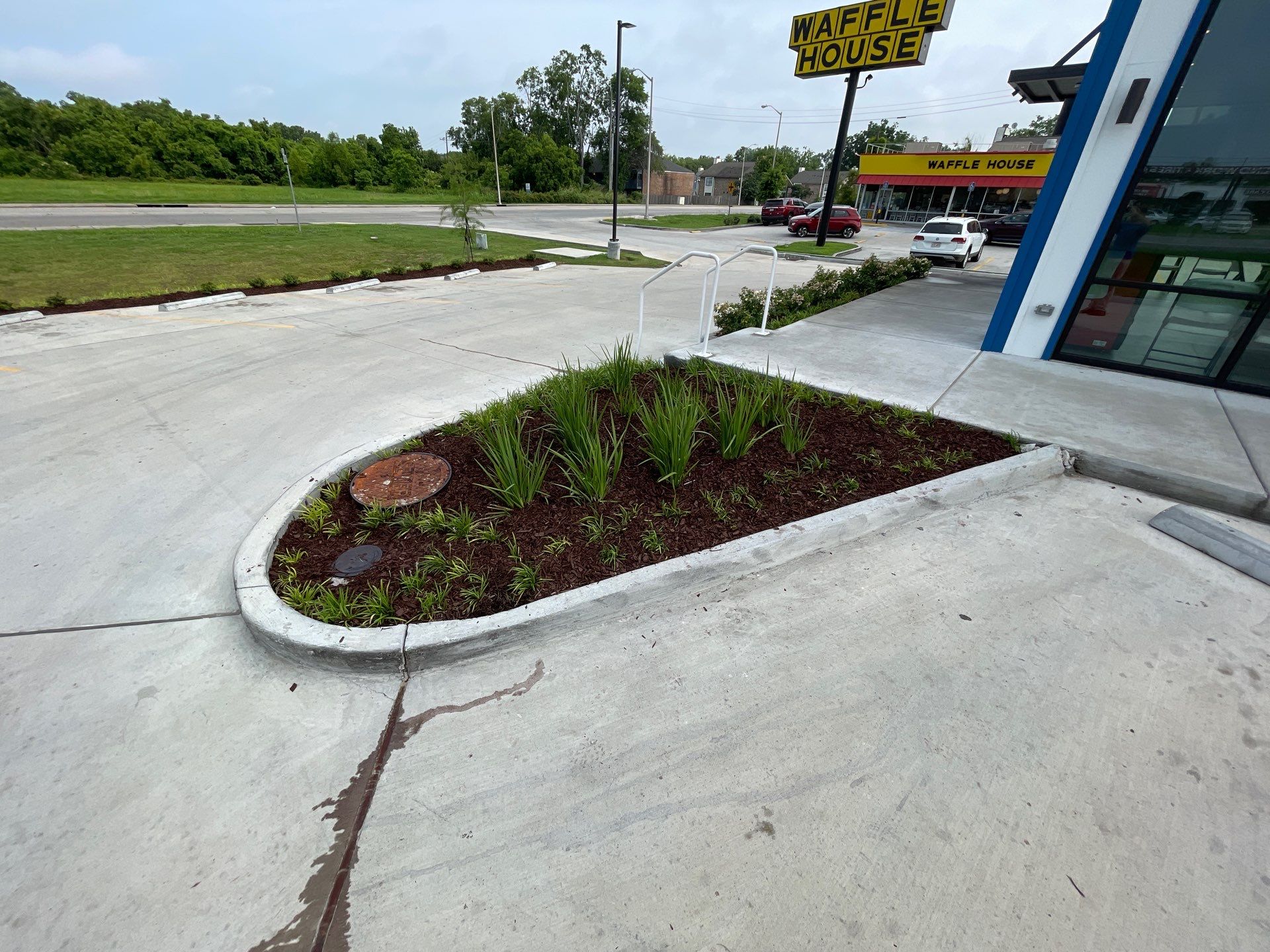 COMMERCIAL: HEDGE TRIM / BED CLEAN / MULCH INSTALL using BROWN MULCH "BARK BRITE" by CutScape, LLC.