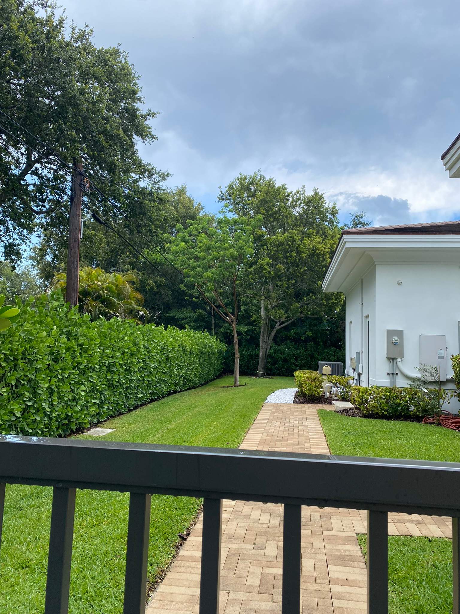 Backyard Landscape Renovation by Nature's Dream Landscape and Tree Service