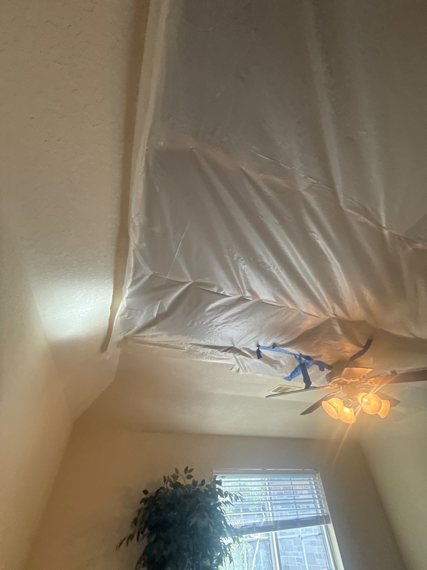 The Ayobi Family by SophAlx LLC