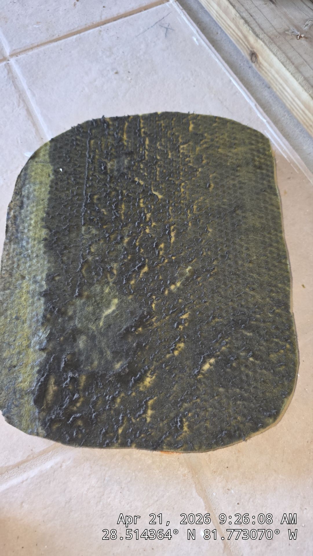 AIr Duct Cleaning in Clermont by Hygienic Air, Inc