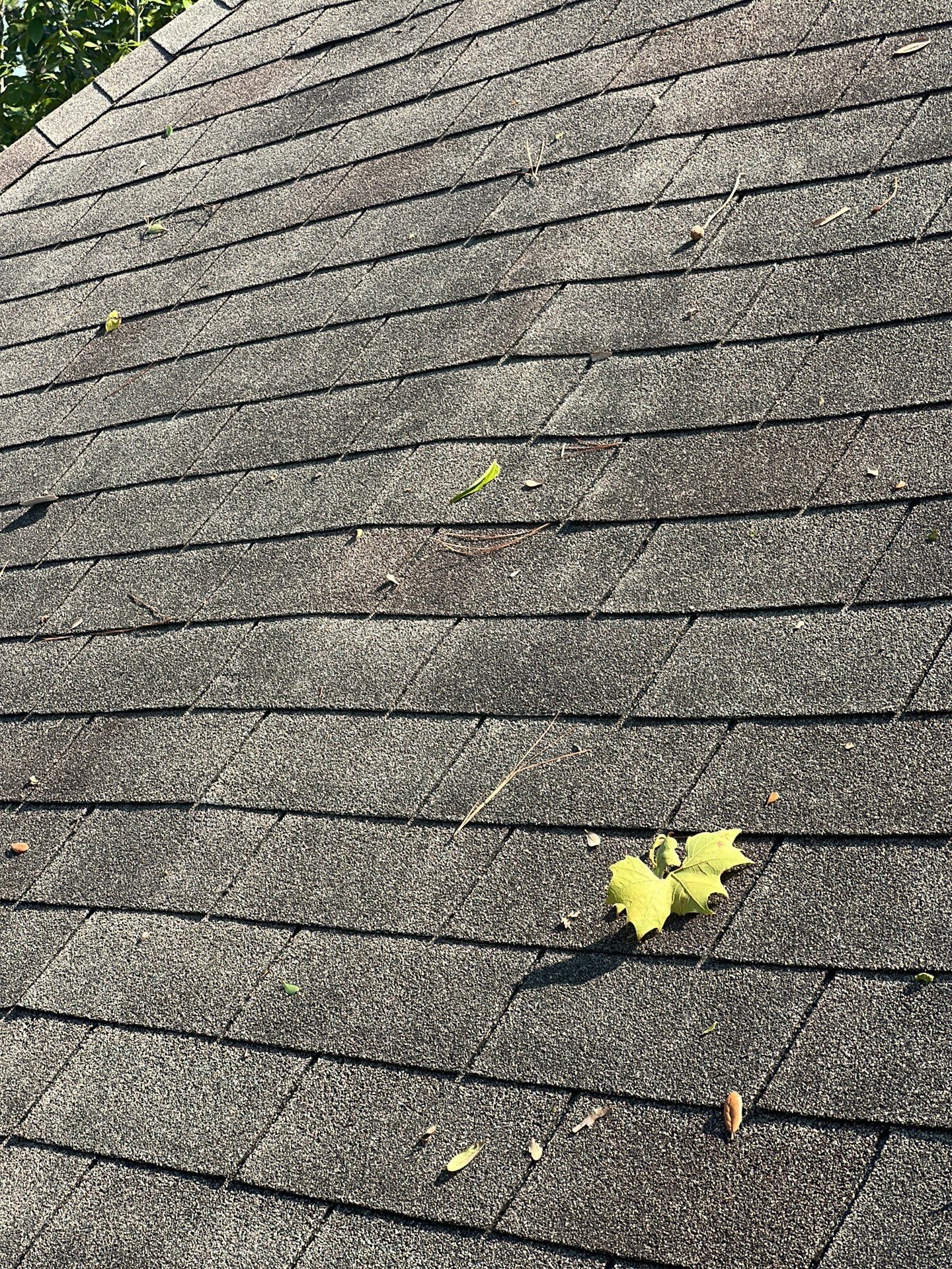 Residential Roofing Repair using Owen's Corning Duration (Lifetime) Shingles by Roof Repair Services LLC