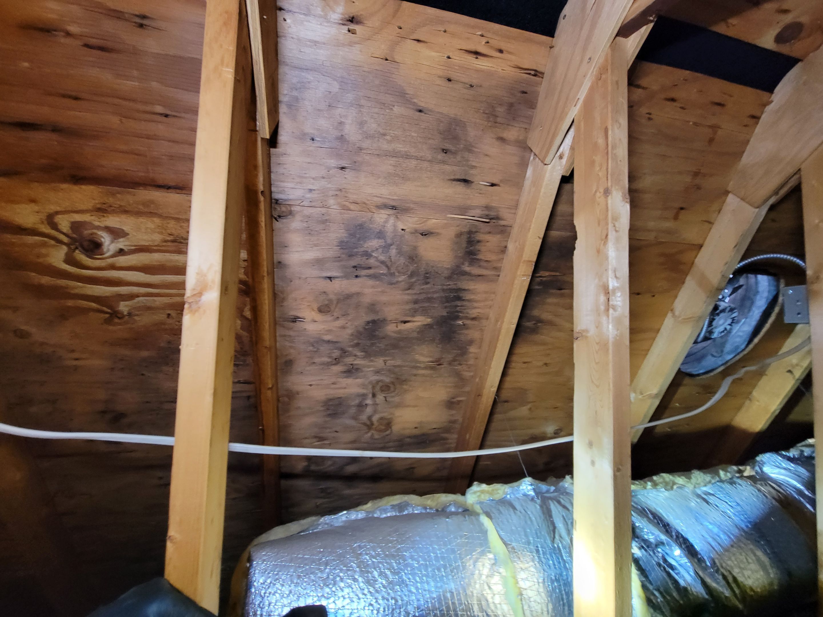 Attic Mold Remediation by Chicagoland Water Medics