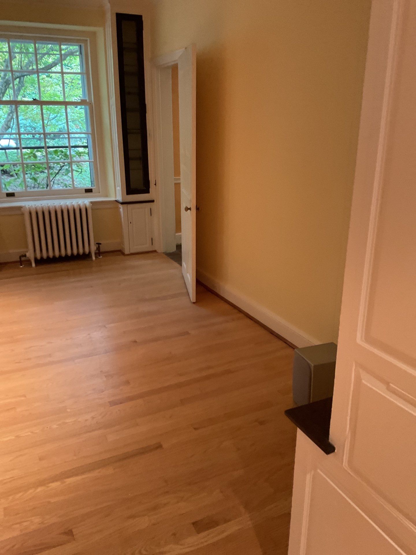 Whole-Home Interior Refresh in Mt. Airy by Groovy Hues