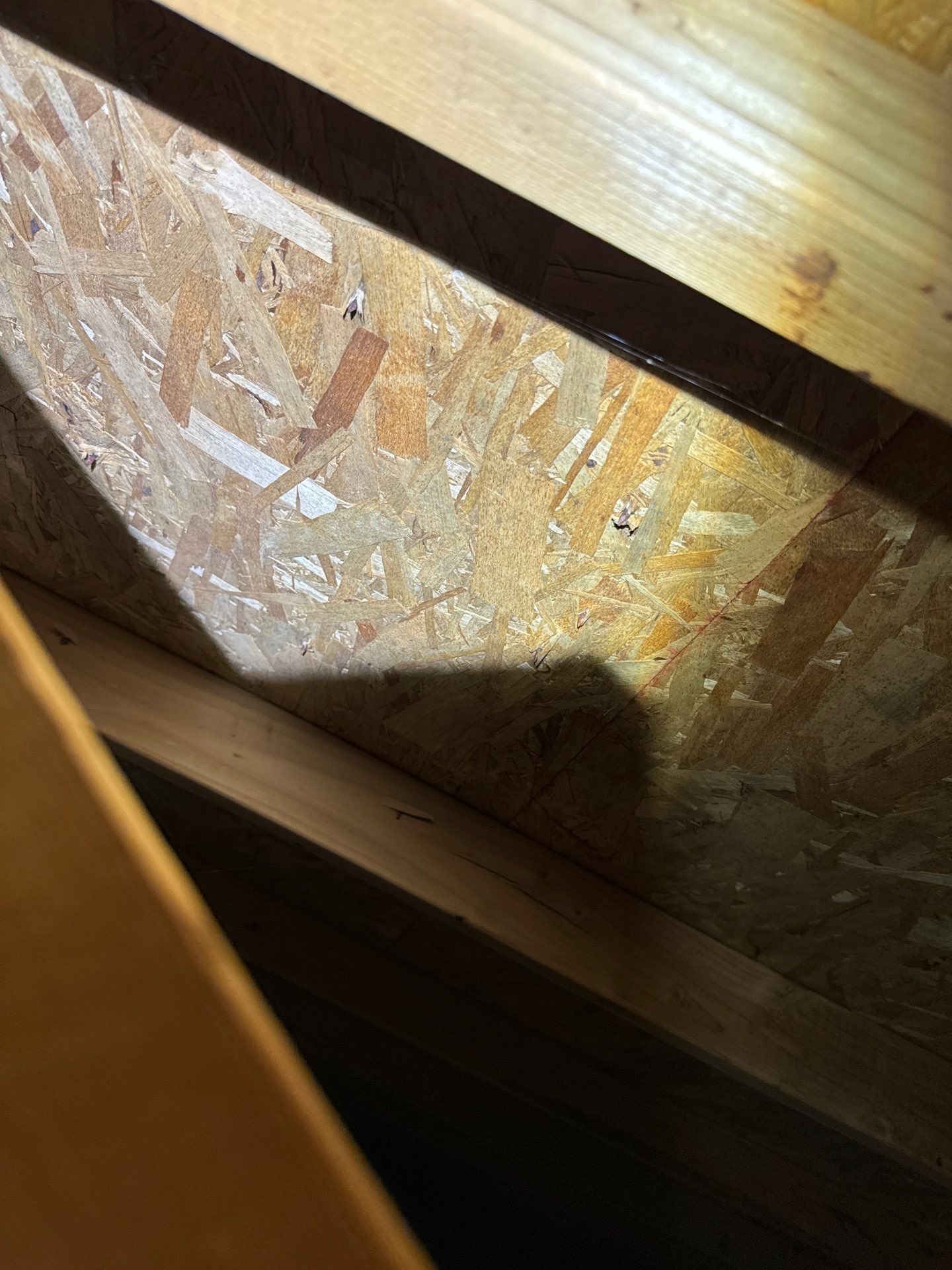 Project in Seattle by Connolly Construction Company