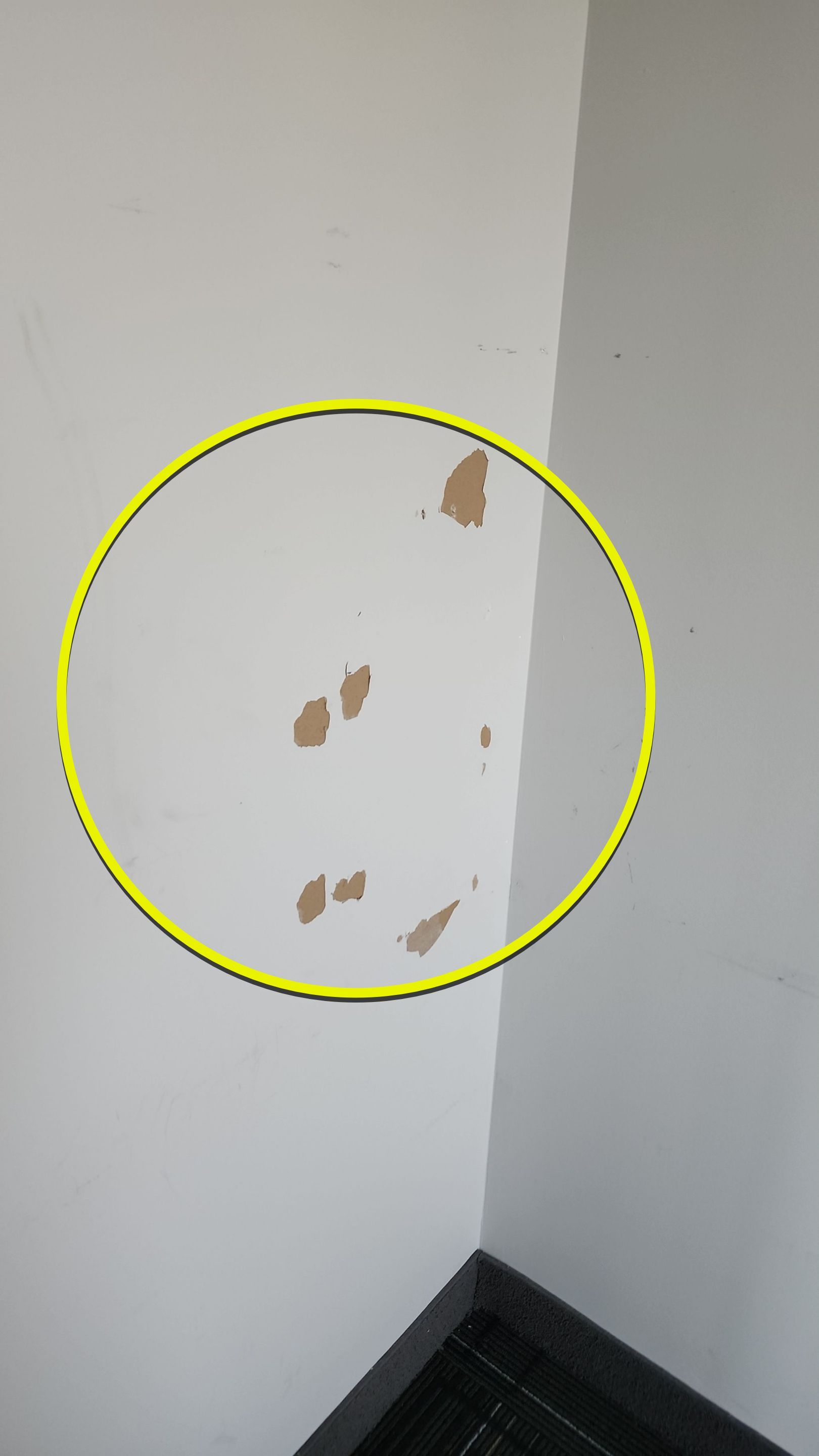 Project in Toronto by GTA HOME PAINTING