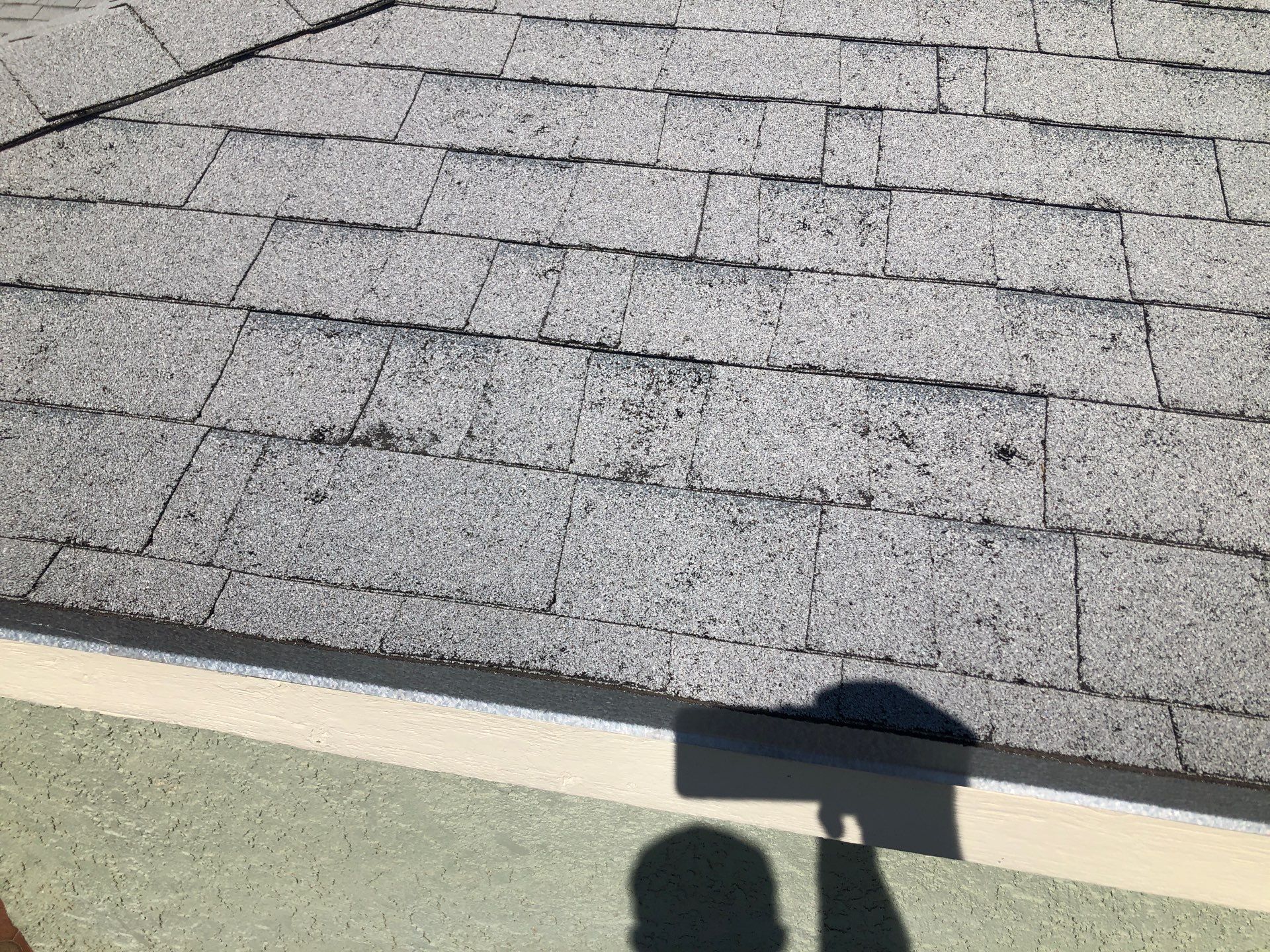 Desert Tan Shingles by Reimagine Roofing