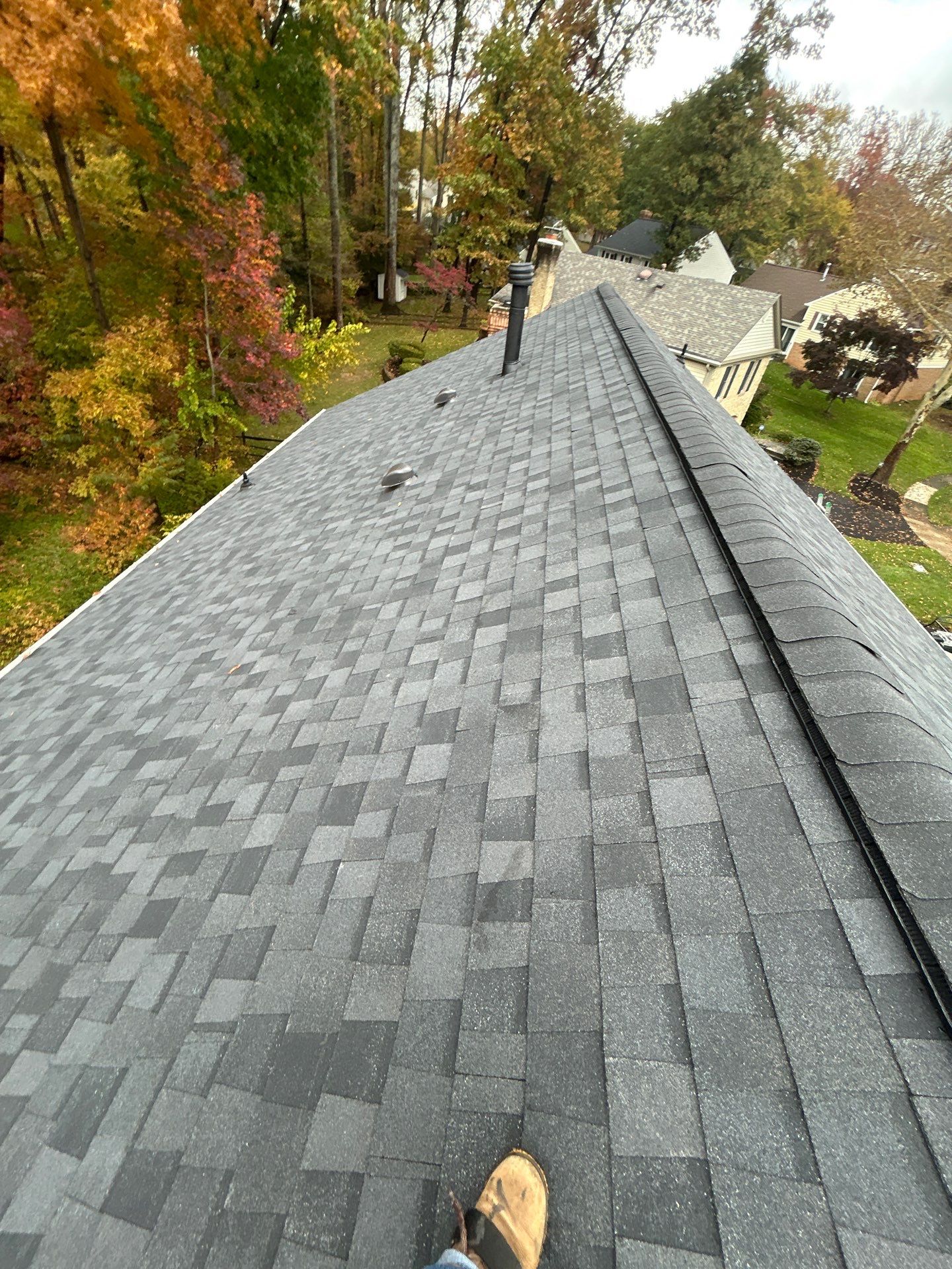 Alexandria :Residential Roof Replacement with CertainTeed Landmark Pro in Max Def Moire Black  by RM Banning, Inc.