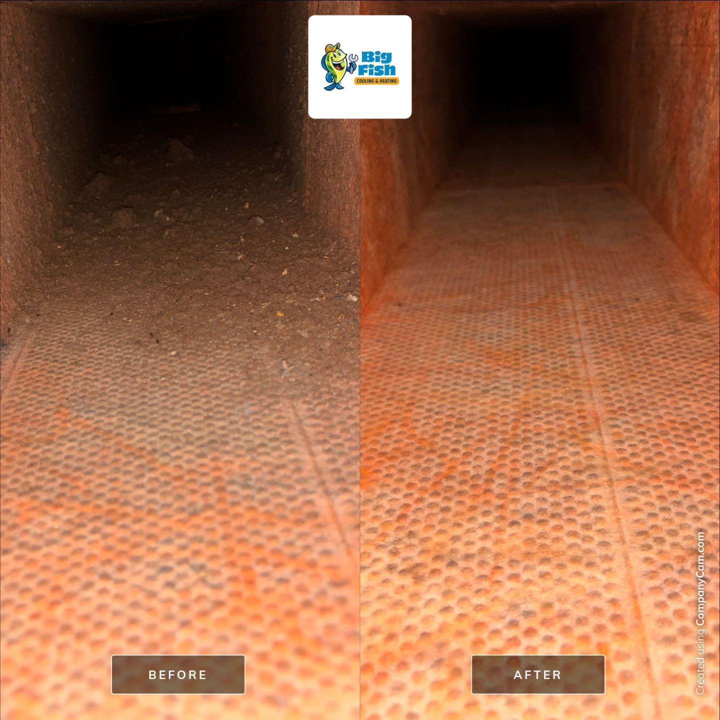 Duct Cleaning - DEAD RODENTS! by Big Fish Cooling & Heating