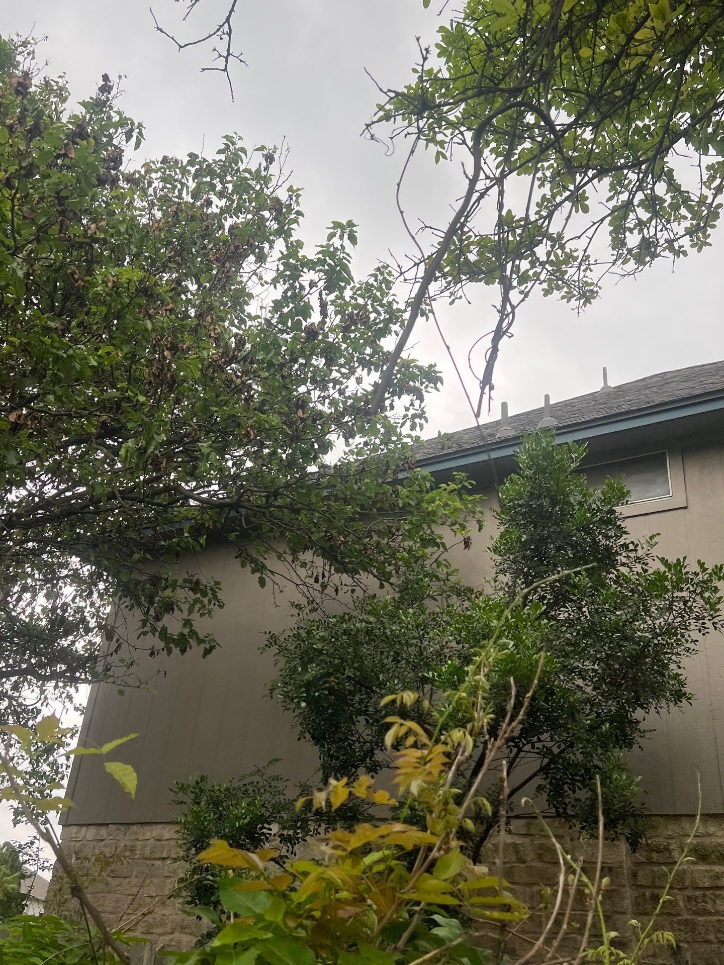 Project in Austin by Rhino Roofing and General Contracting, LLC