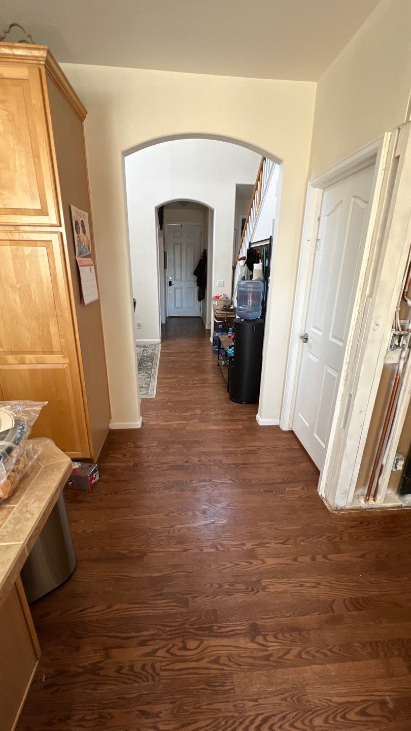 Mold Remediation by Accountable Home Services