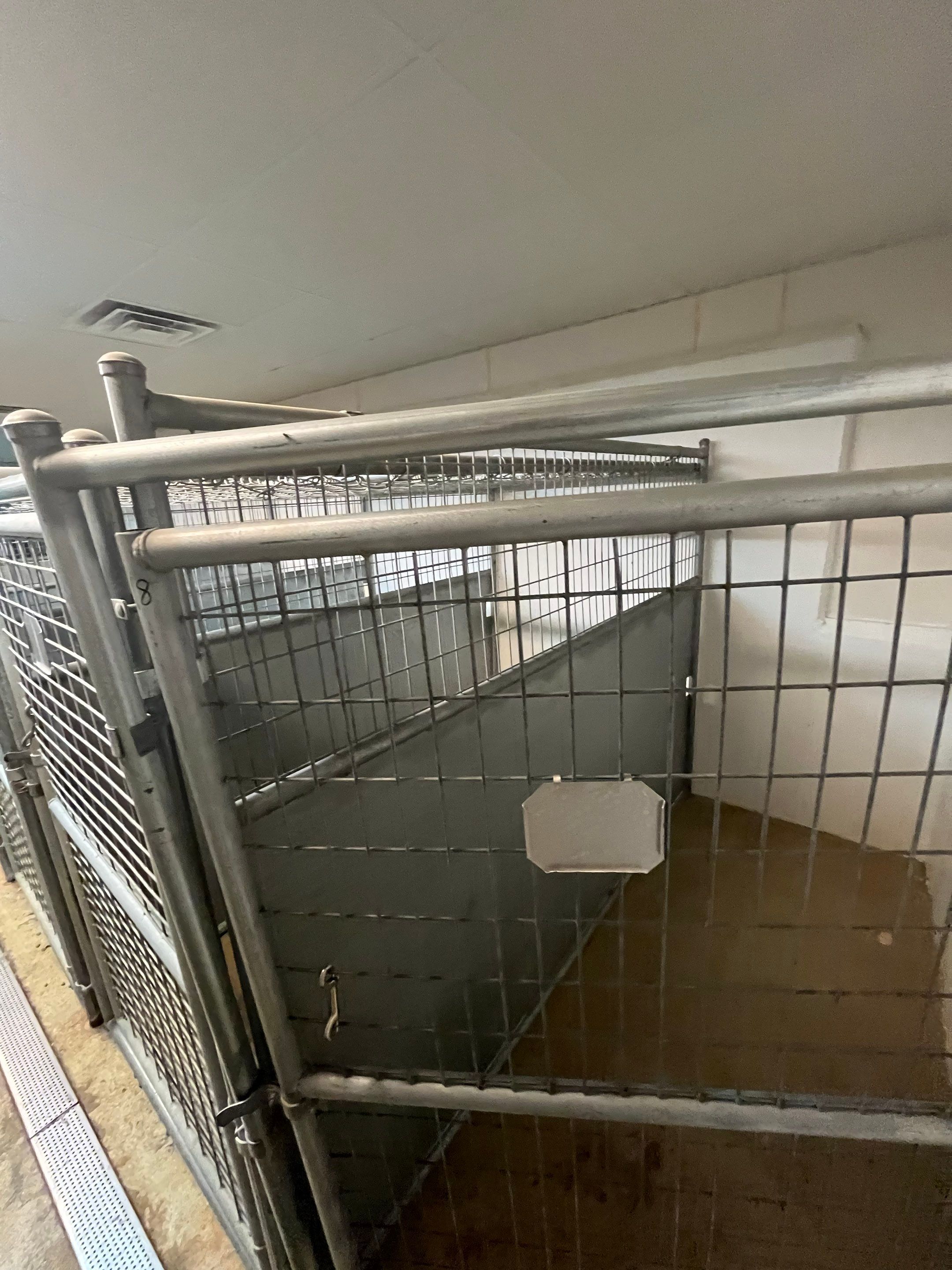 Durable Commercial Concrete Coatings for Brandon Valley Veterinary Clinic by Select Painting, Coatings & Garage Cabinets