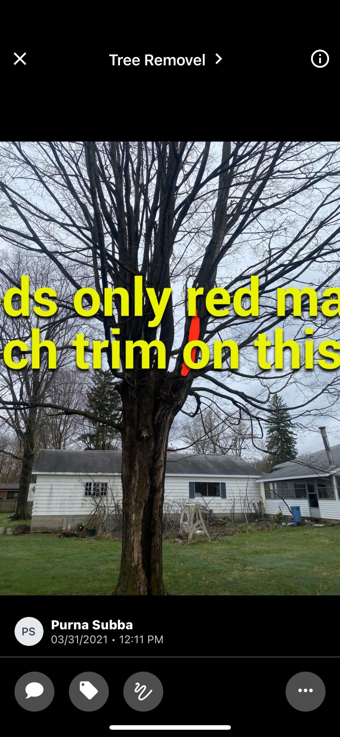 Tree Removal using Tree Removal by Mike Jones & Sons Tree Service LLC 