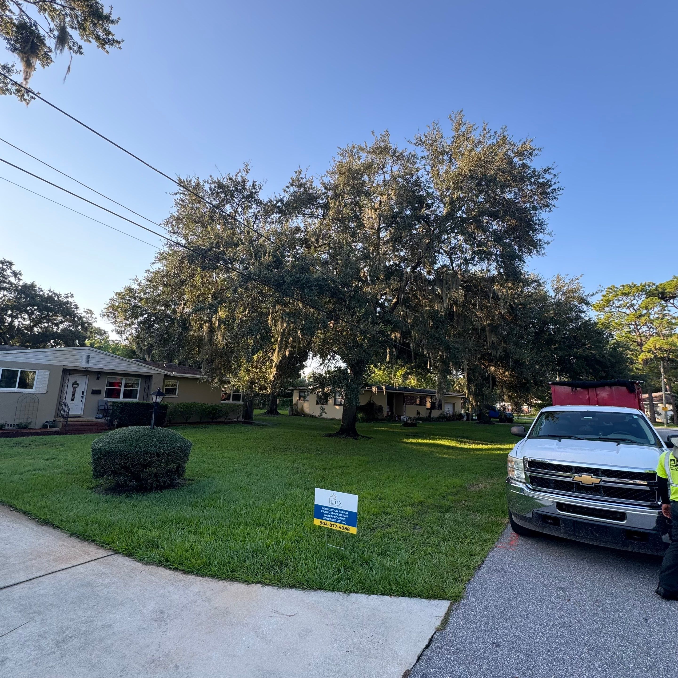 Residential | Tree Trimming  by ProGreen Services