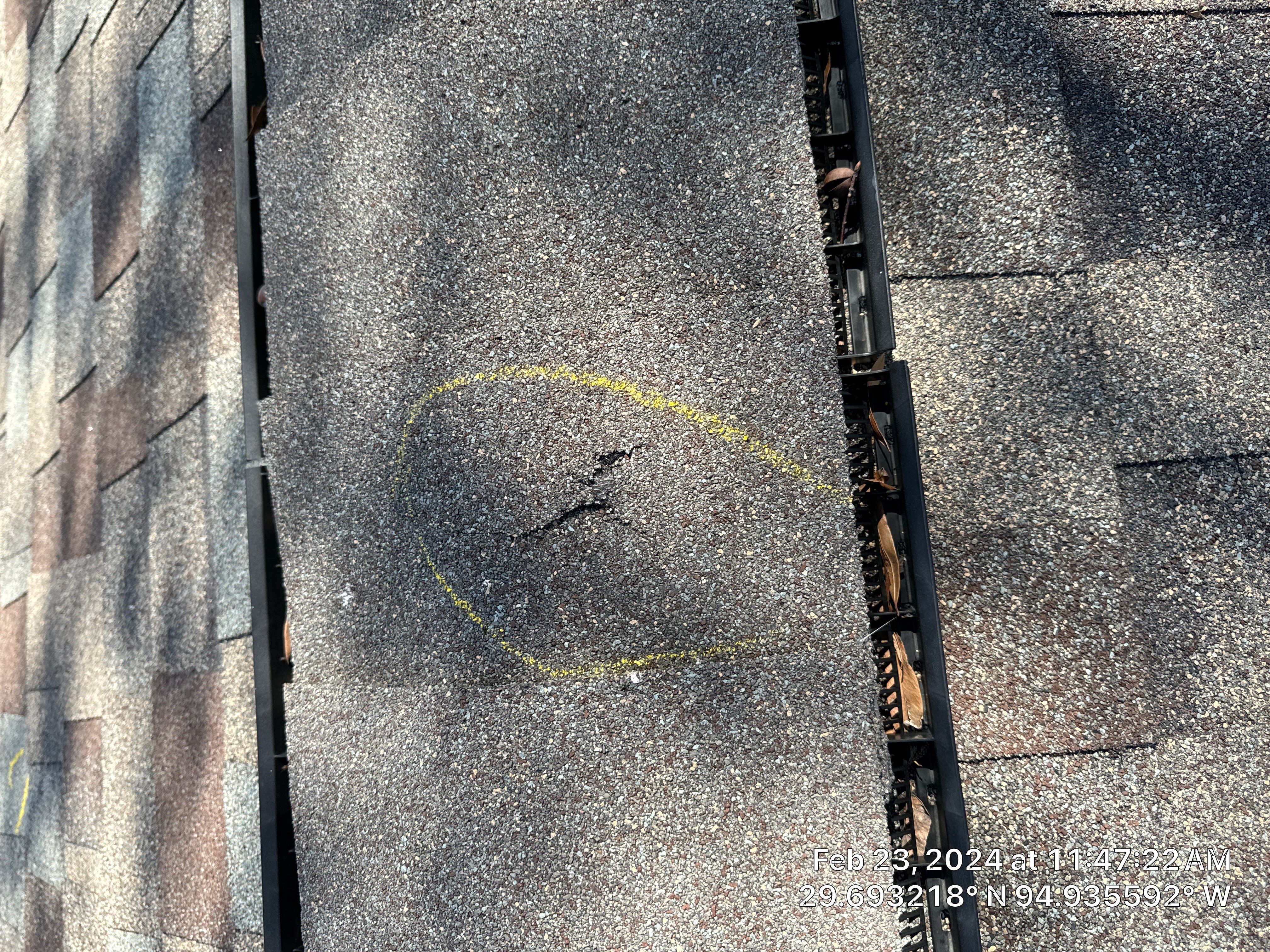 Hail Damage by Southern Belle