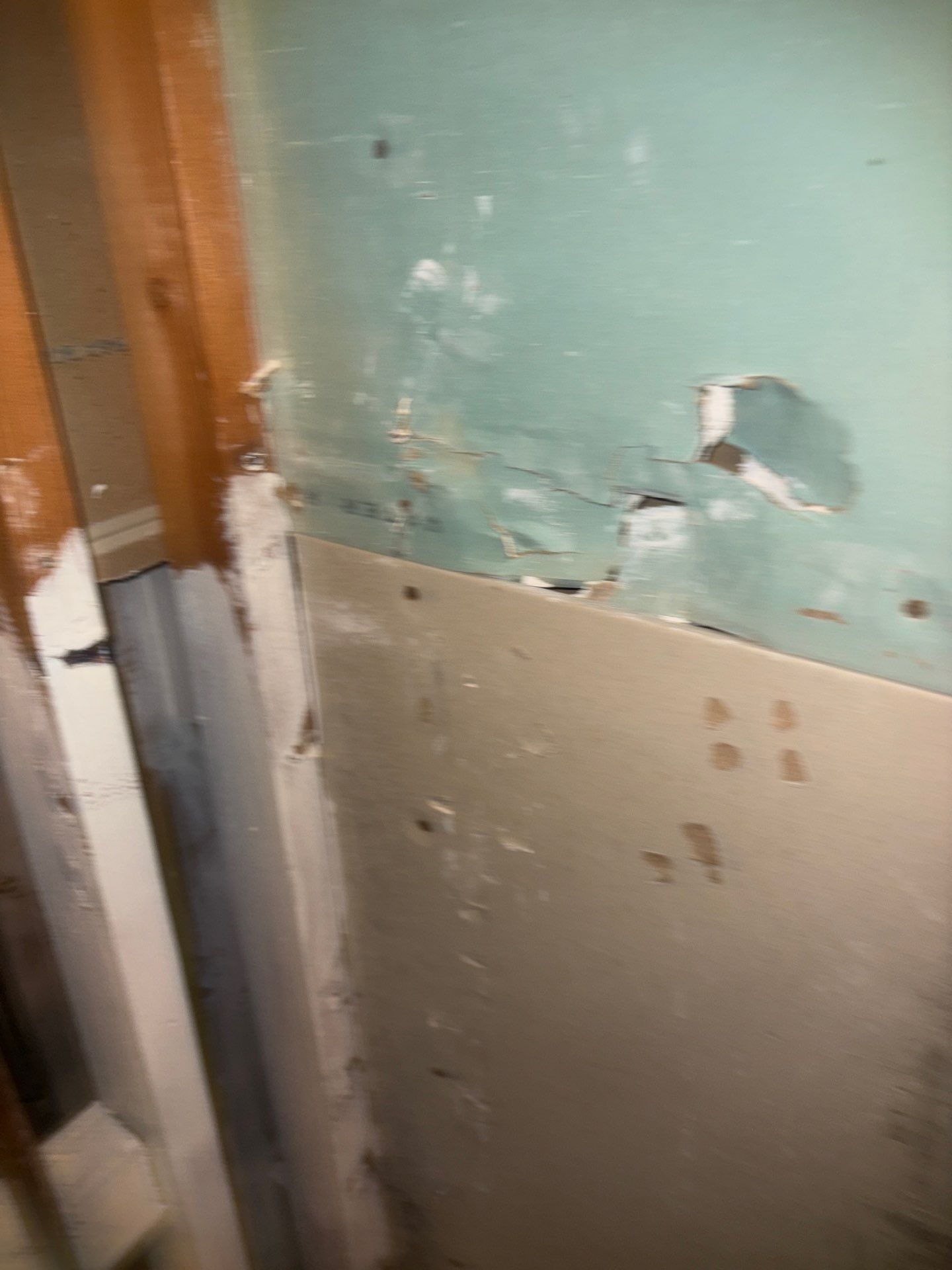 Water Damage Mitigation by All Dry Services of North Austin