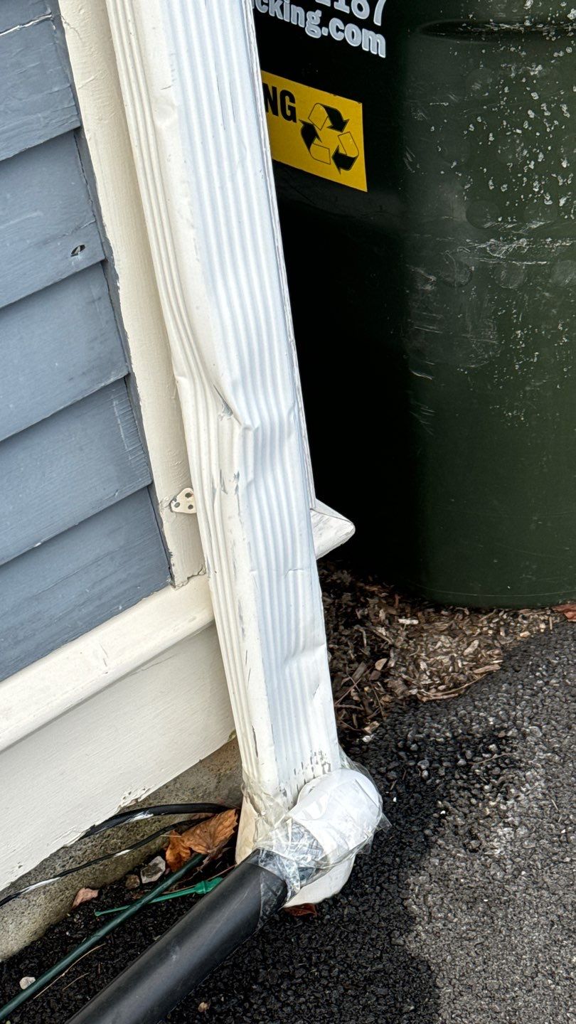 Exterior Painting & Carpentry Repairs by EXCELLENCE | CARTO