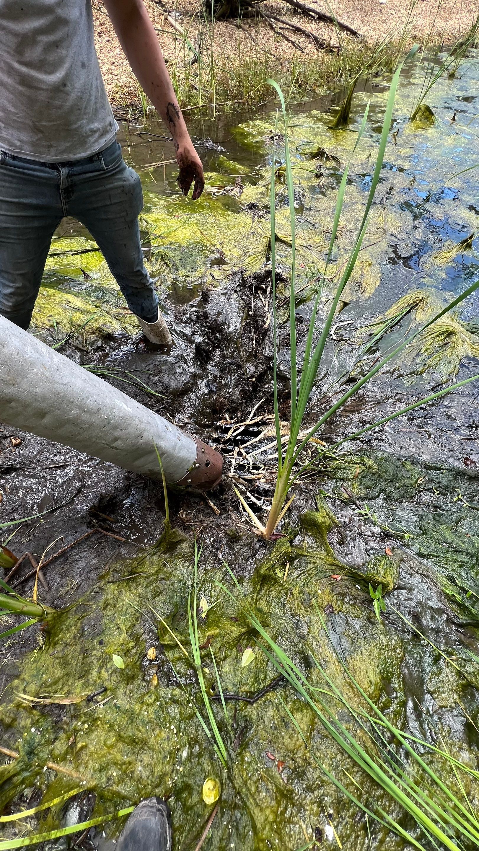 Naples Condo Stormwater System Maintenance by Don Mar, Inc. Storm Water Solutions