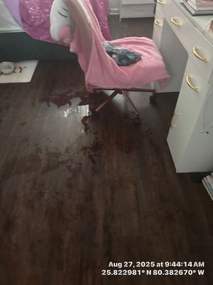 WATER DAMAGE