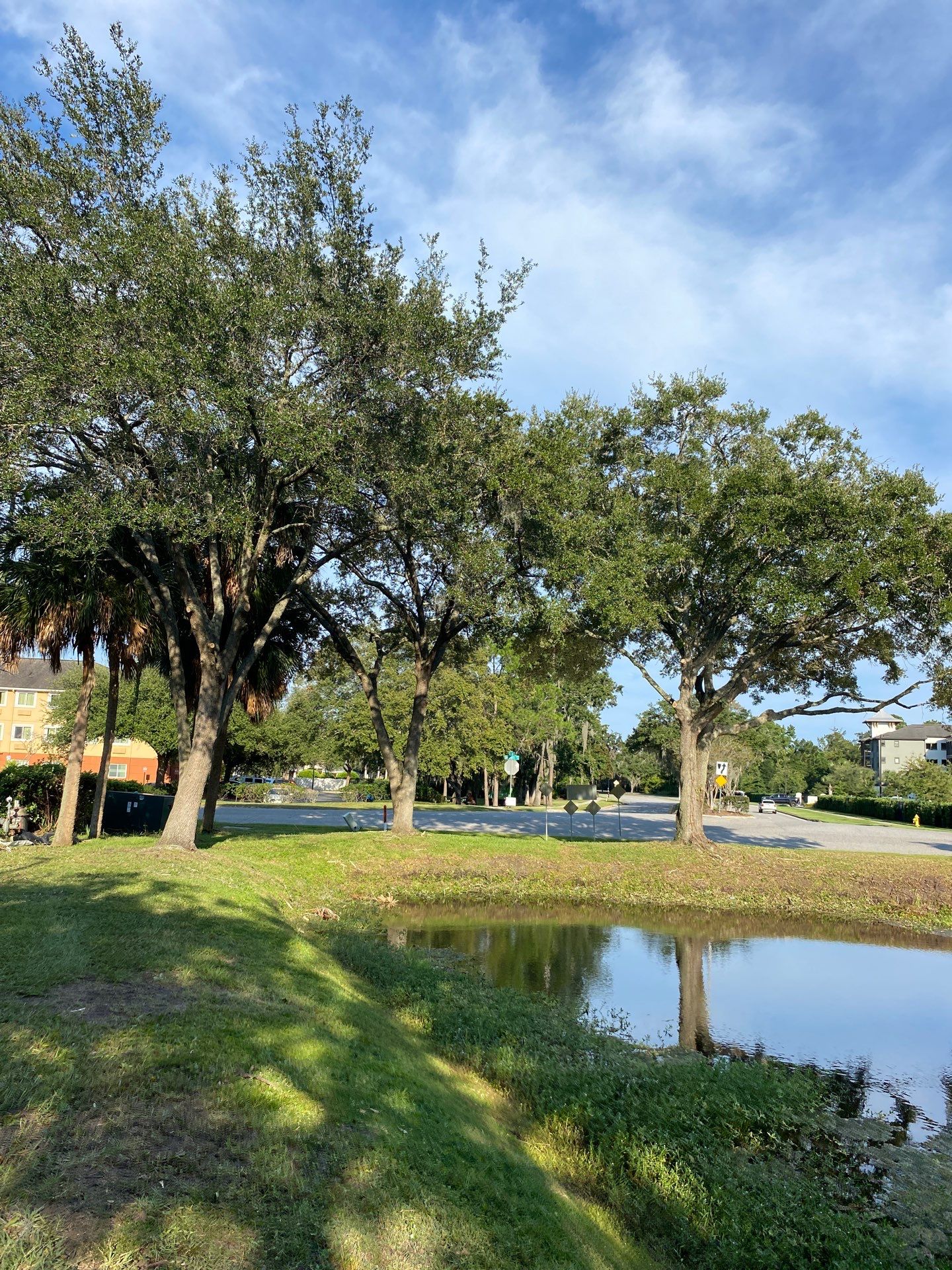 Tree & Shrub Removal | Marriott Hotel by ProGreen Services