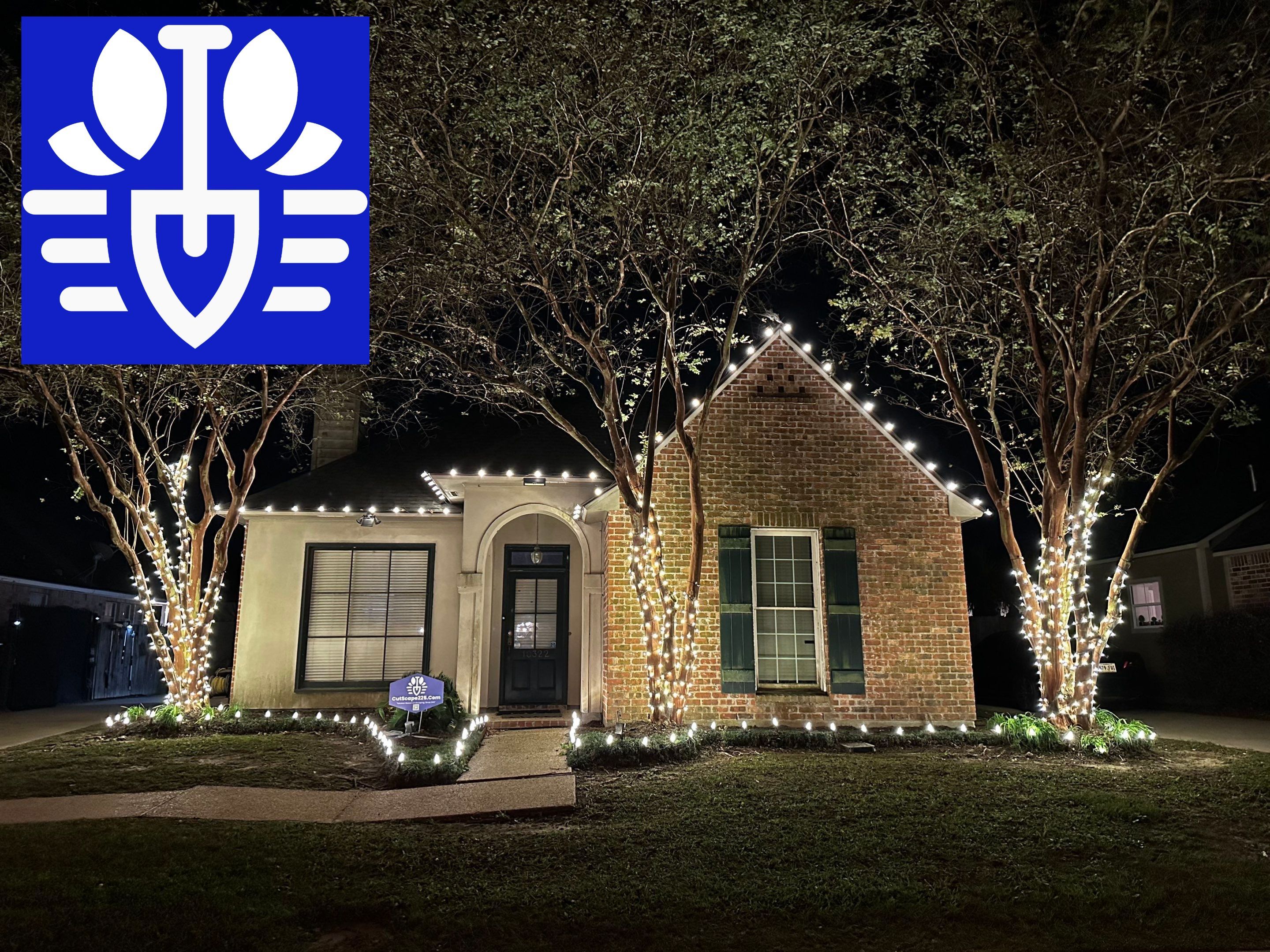 HOLIDAY LIGHTING using ROOFLINE PERIMETER LIGHTING: HALLOWEEN THEME WITH ORANGE AND PURPLE BULBS by CutScape, LLC.