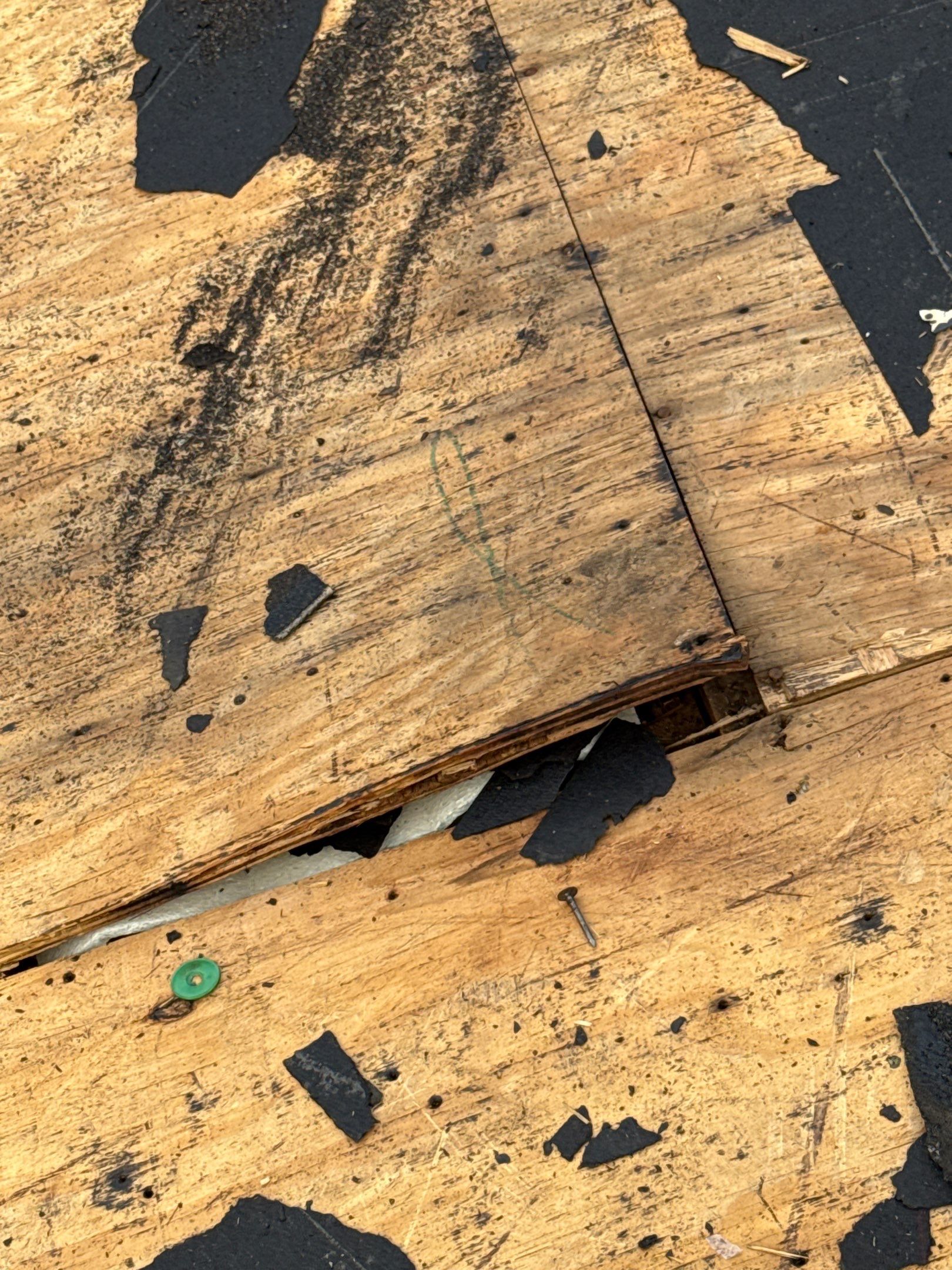 Dolly Ditchie by United Contracting and Roofing