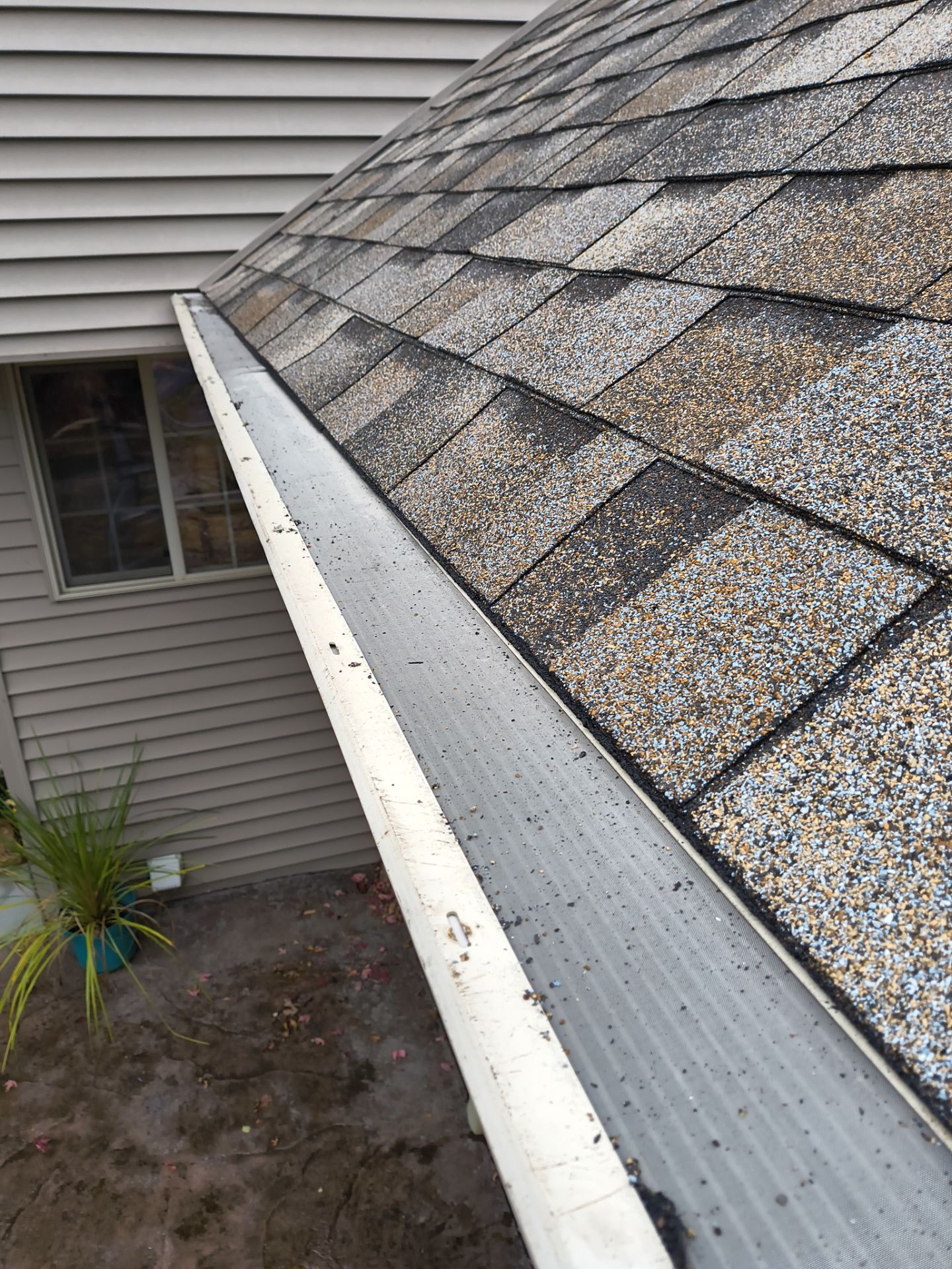 5" Gutter Installation with Leaf Protection Reinstalled – Waconia, MN by Next Level Seamless Gutters / Exteriors Inc.