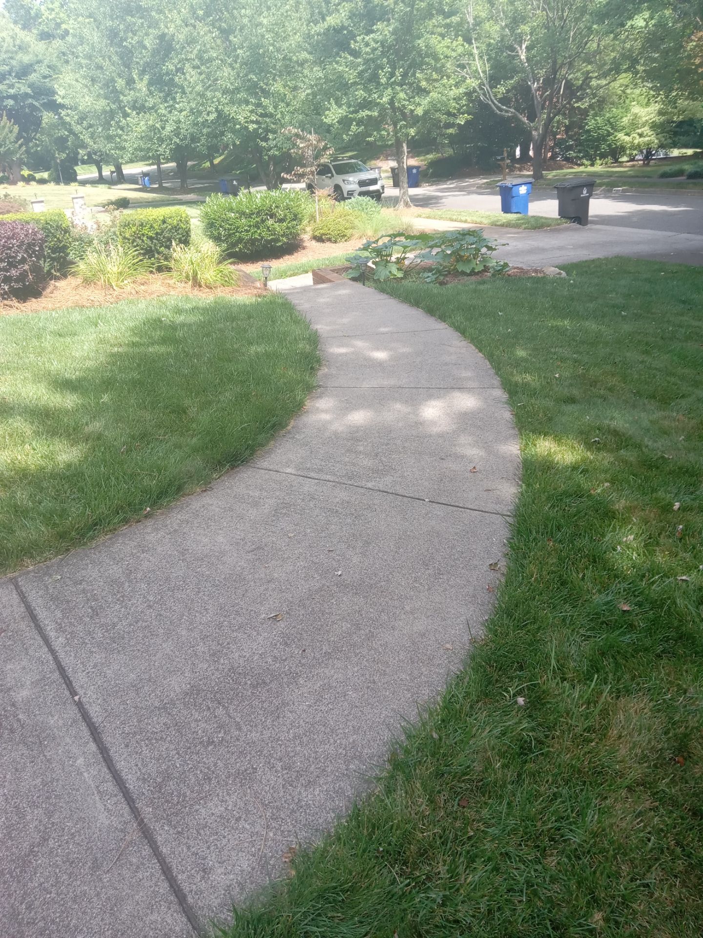 pressure washing concrete walkway removing dirt buildup for a clean appearance