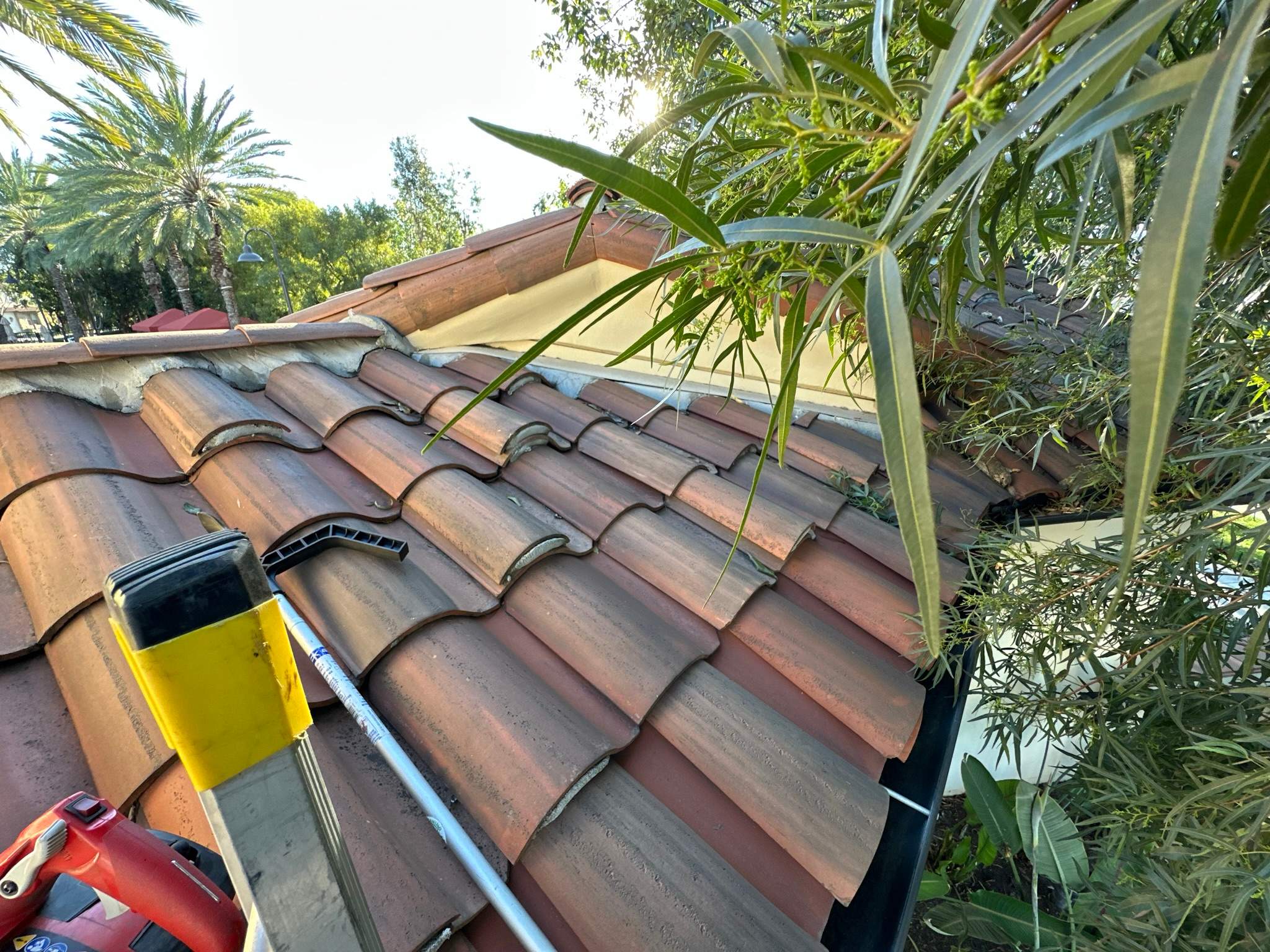 Orange County Gutter Cleaning by Property Cleaning Experts