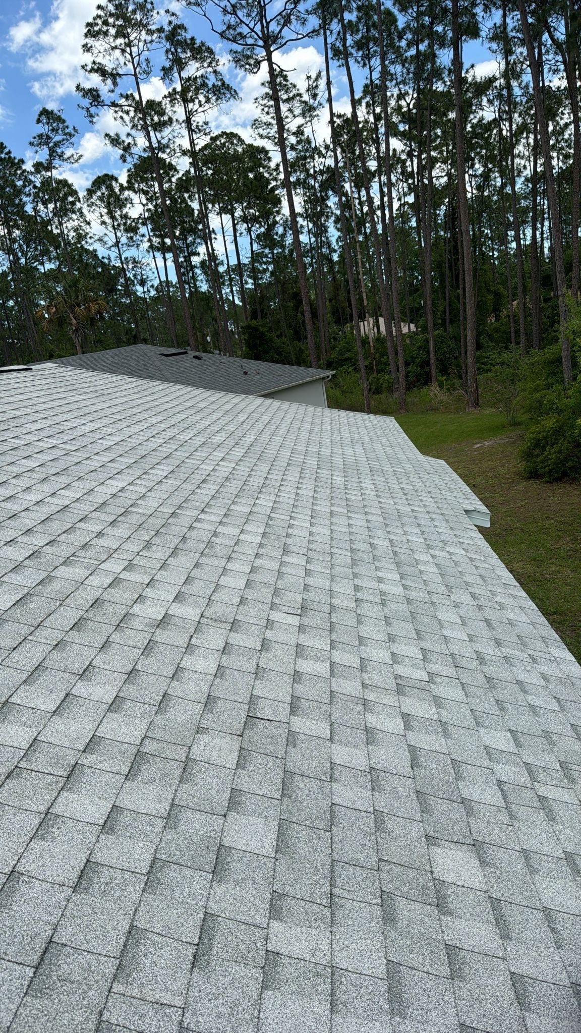 Shingle Reroof Replacement Palm Cost FL by Pinnacle Roofing Group