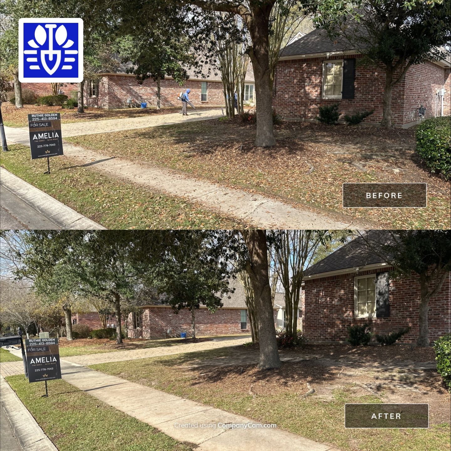 WINTER SERVICES: FULL LEAF JOB by CutScape, LLC.