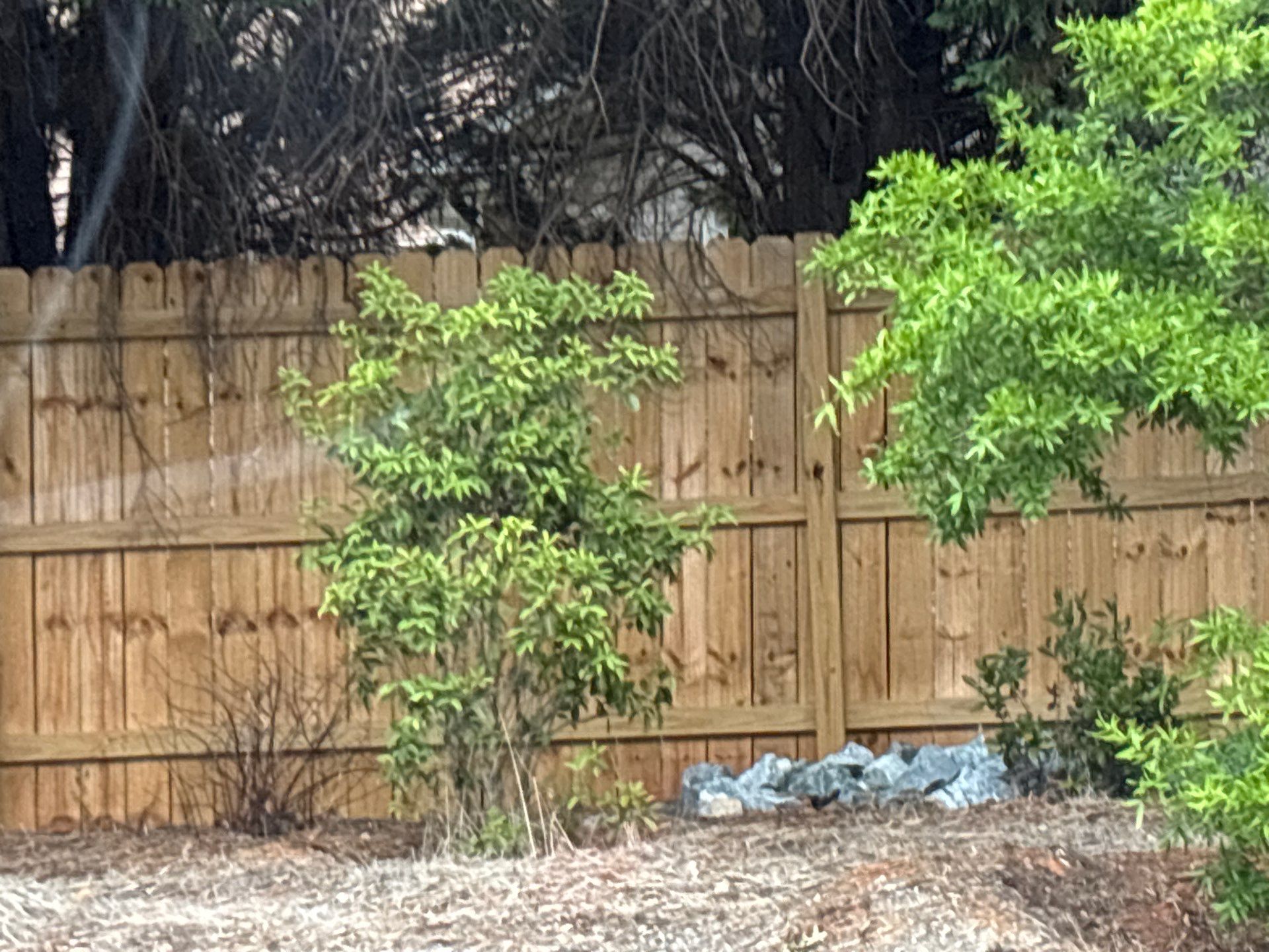 Fence using Wood Sealant by DuraSeal