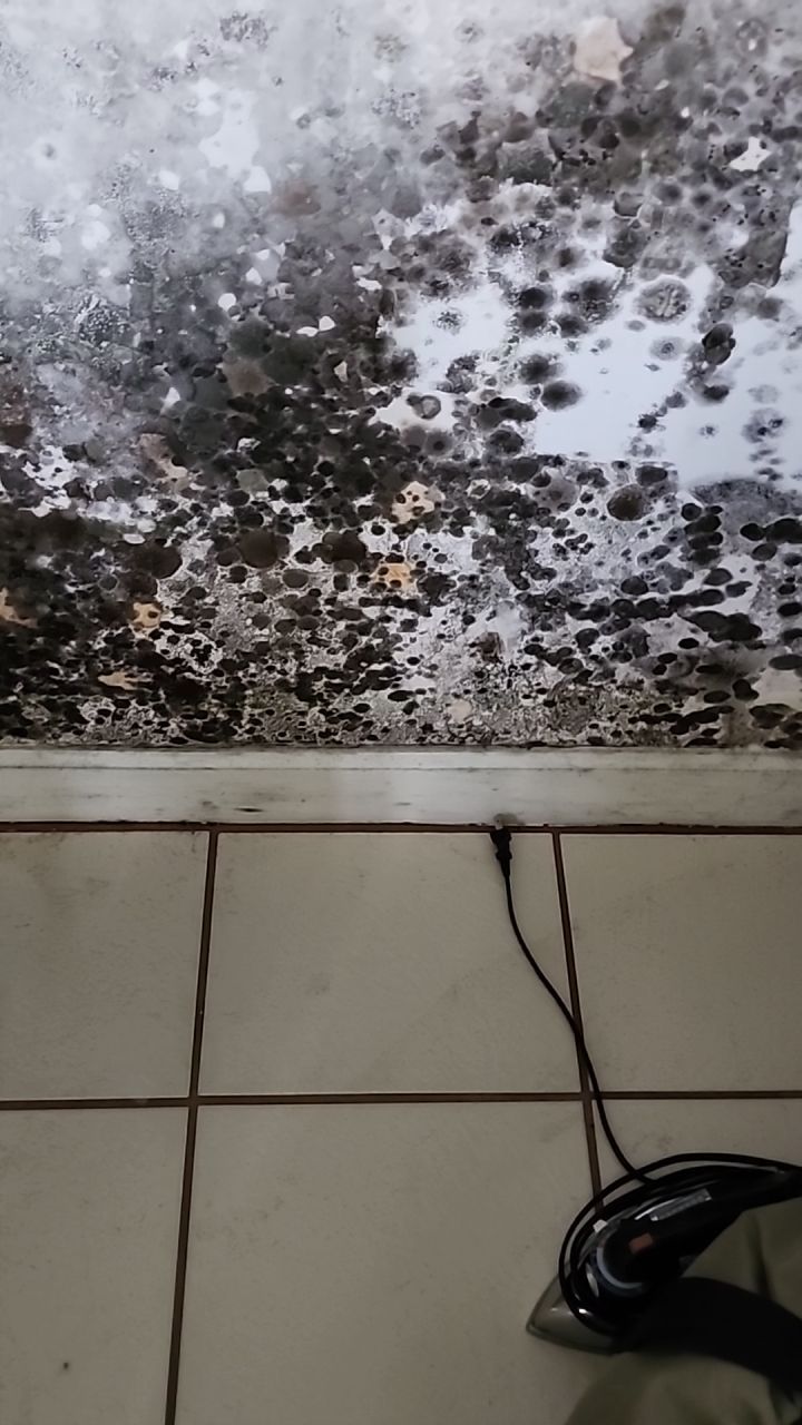 Damage caused from leaking water hea  er by Building performance Solutions LLC
