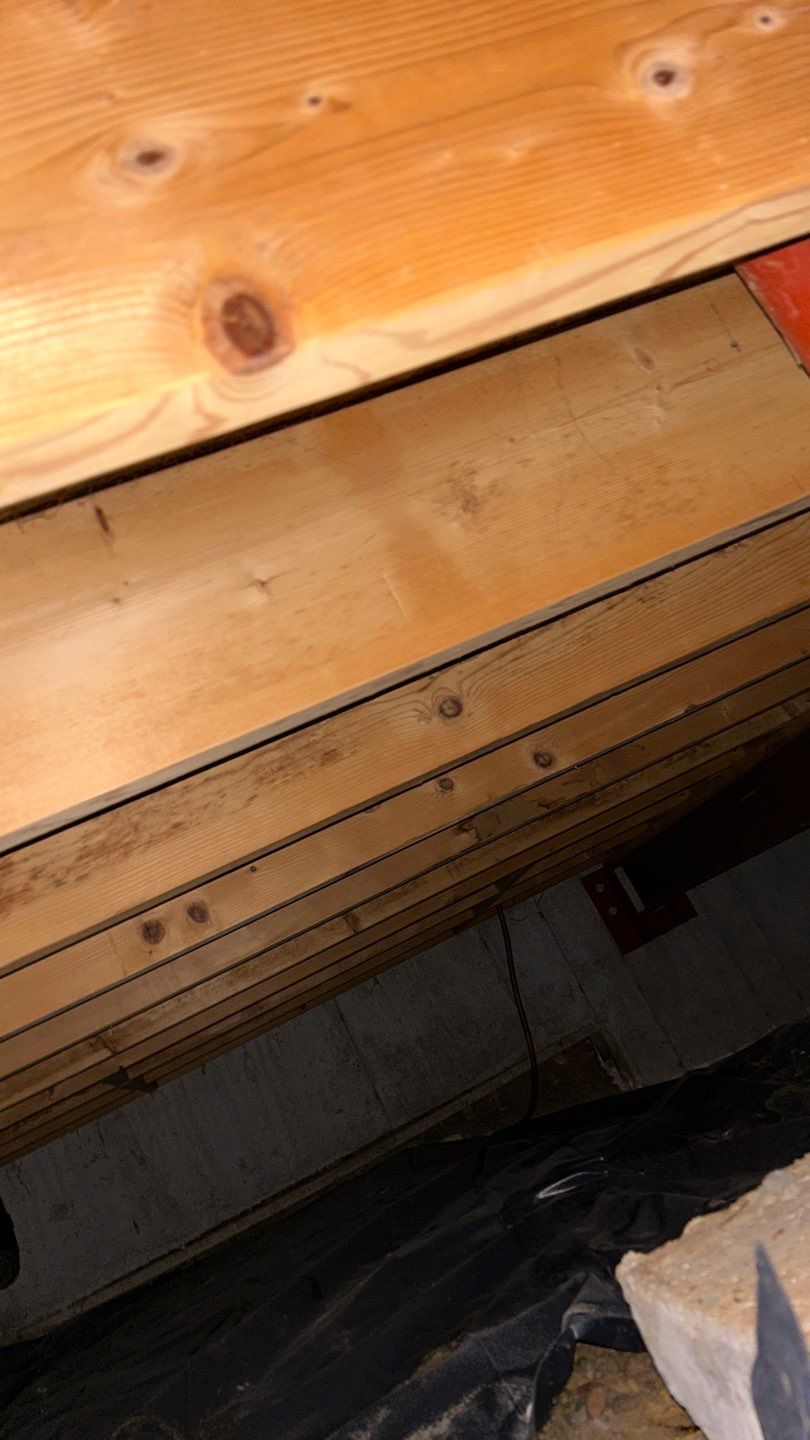 Mold Damage by Accountable Home Services