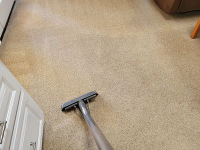 Regularly Scheduled Carpet Cleaning