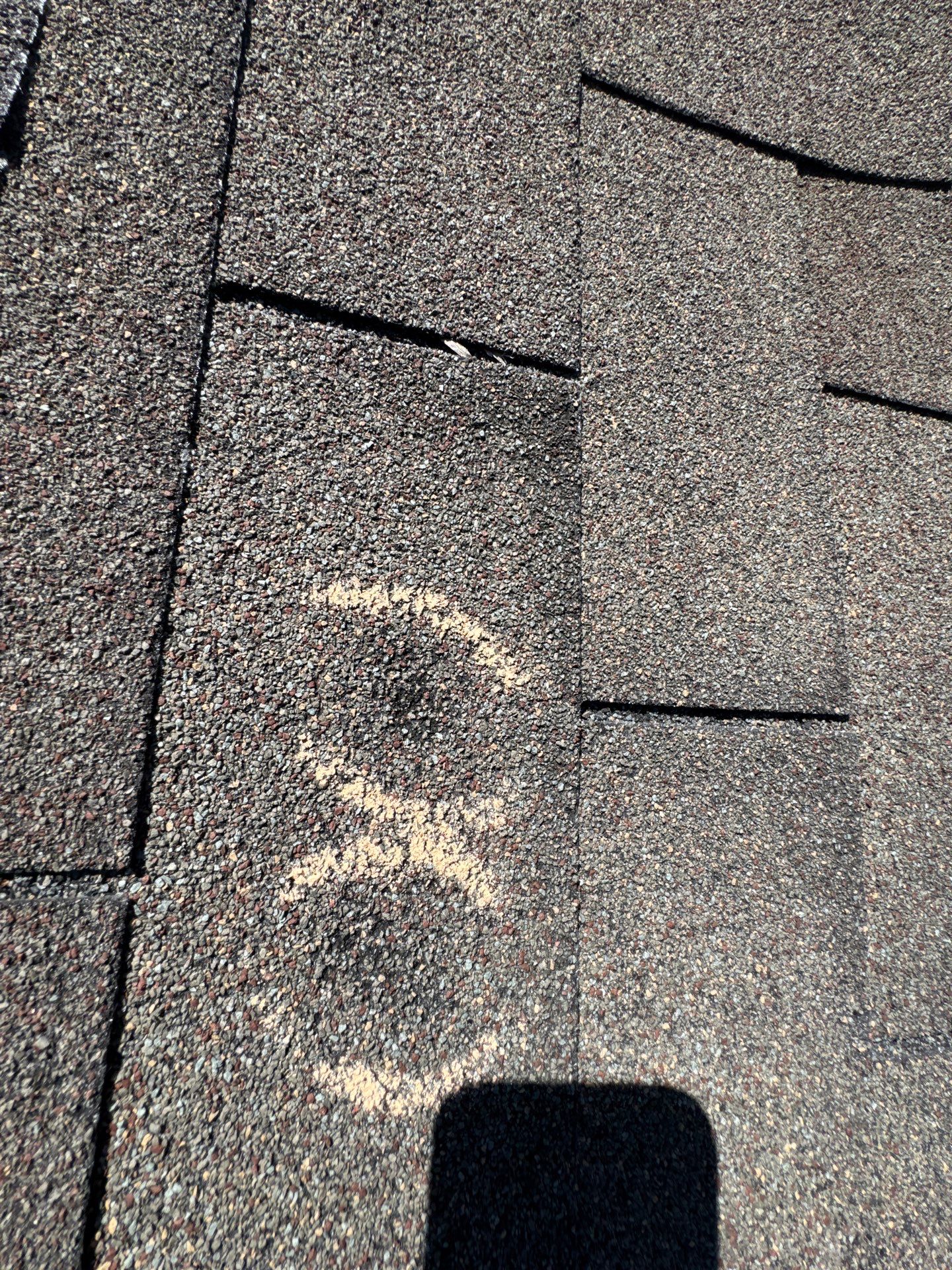 HONG L by Boss Hogg Roofing