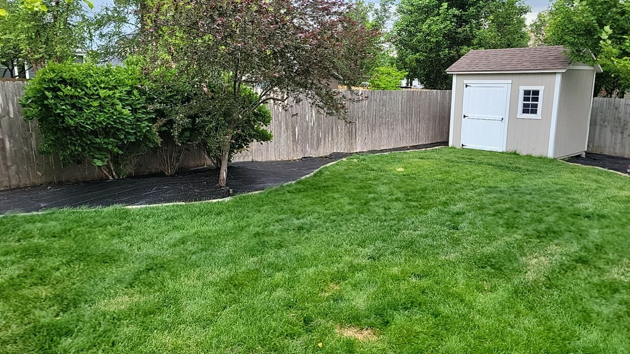 Landscape upadates. by New Horizon Landscapes