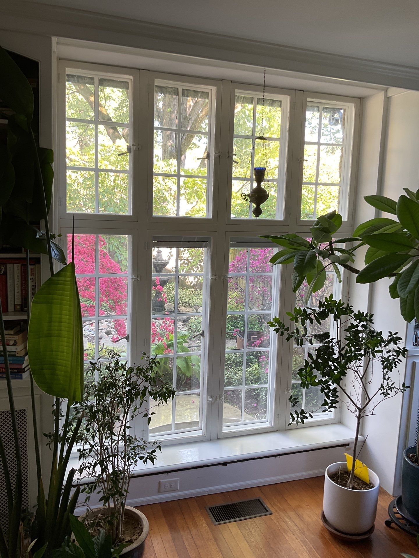 Detailed Window Restoration Throughout a Beautiful Wyndmoor Home ✨🪟 by Groovy Hues