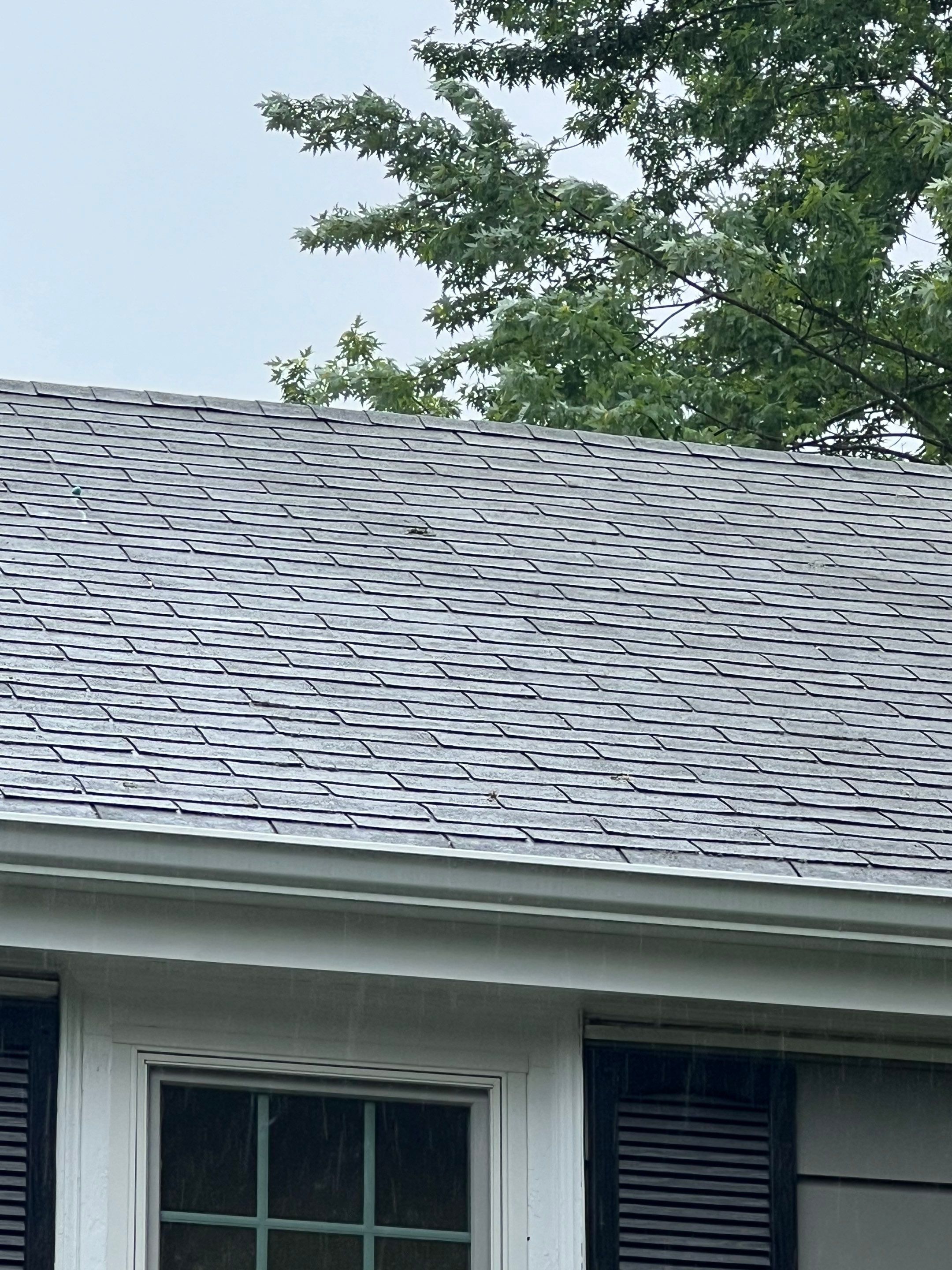 Project in Littleton, MA by Mighty Dog Roofing of Greater Middlesex County