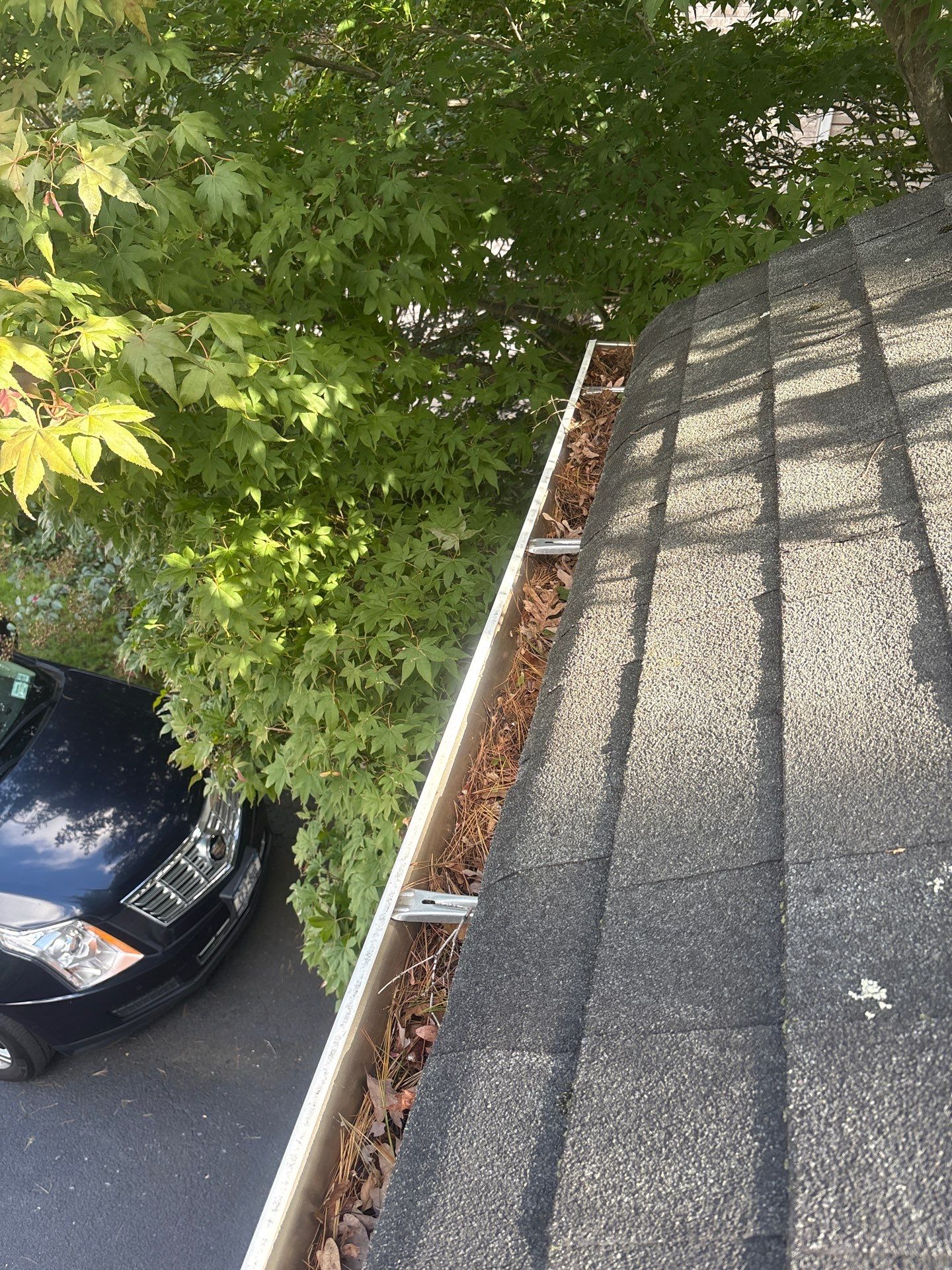 Gutter Cleaning by Above All Gutters 