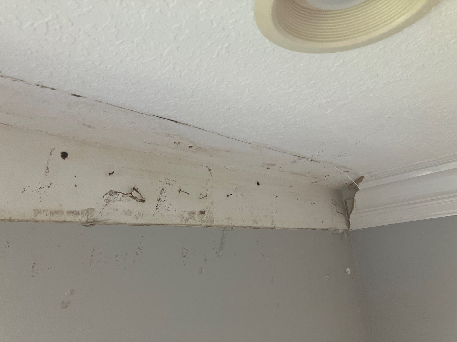 Holmes Beach AC Mold Deep Cleaning by Ampm Restoration Services 