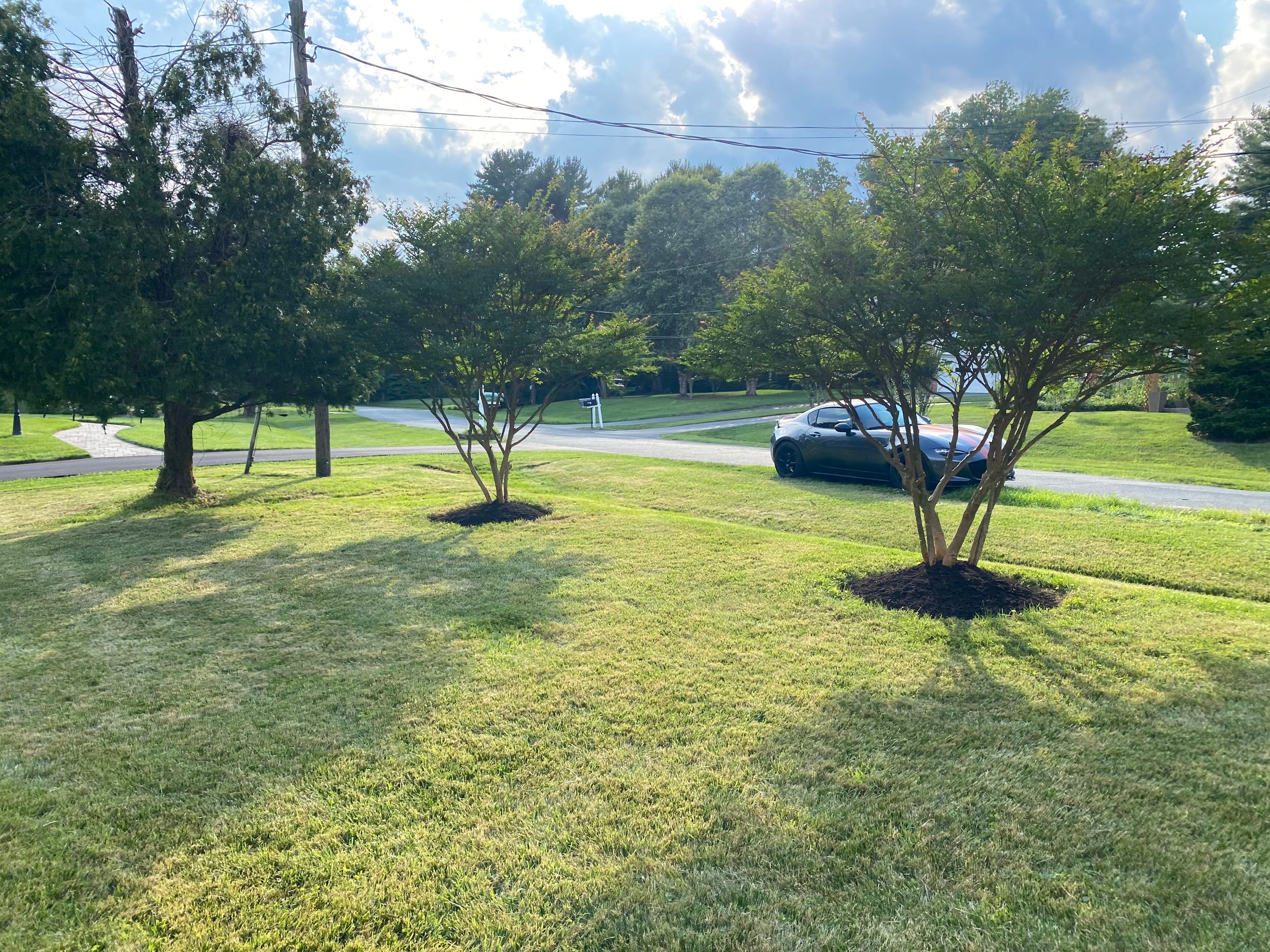 Landscape cleanup by The Smet Companies, LLC