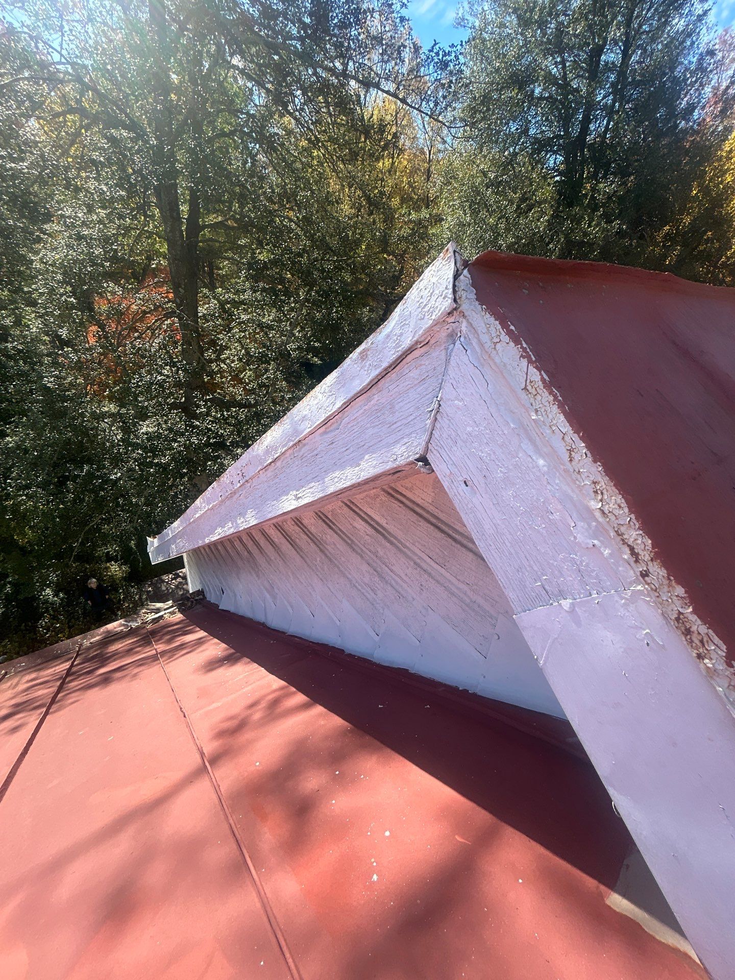 Alexandra: Residential Metal Roofing  by RM Banning, Inc.