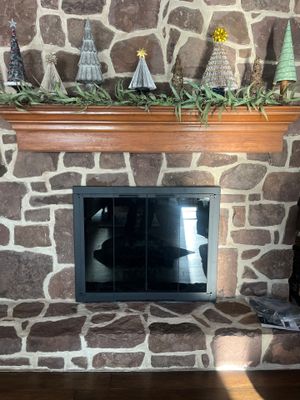 Stoll Fireplace Door