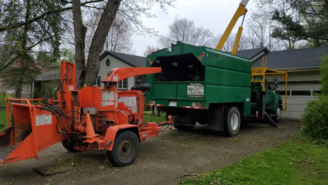 Tree Removal using Tree Removal by Mike Jones & Sons Tree Service LLC 