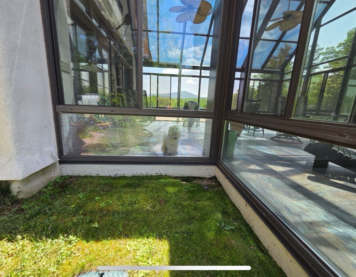 Glass Replacement using Low E Tempered Insulated Glass by Cheshire Glass Company