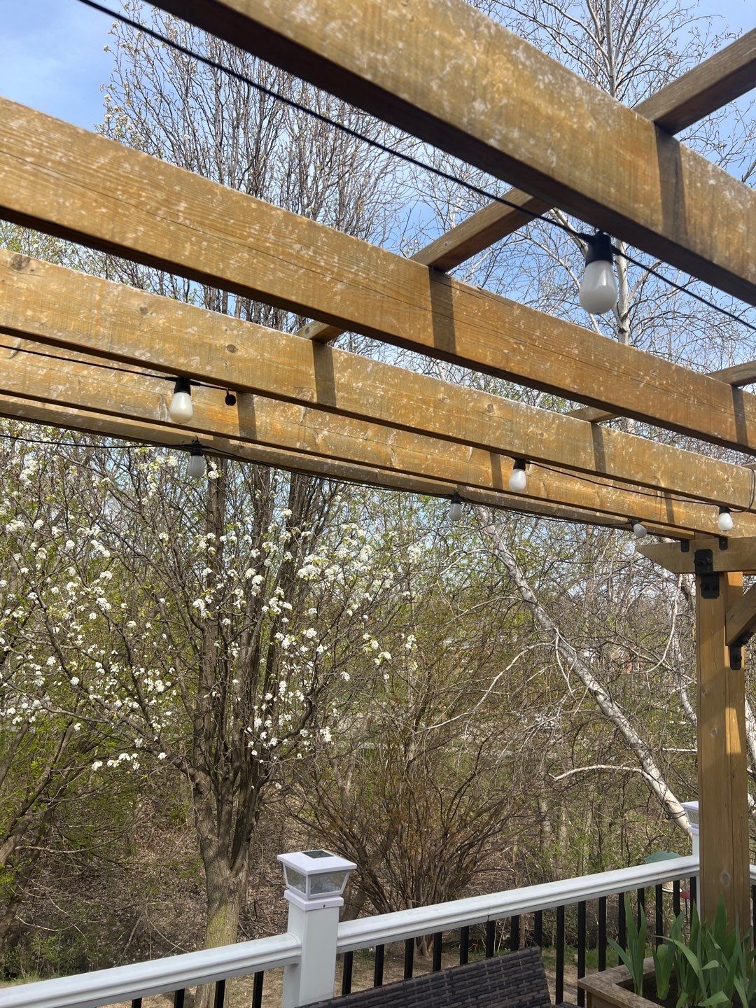 Pergola re-do  by Cutting edge painting 