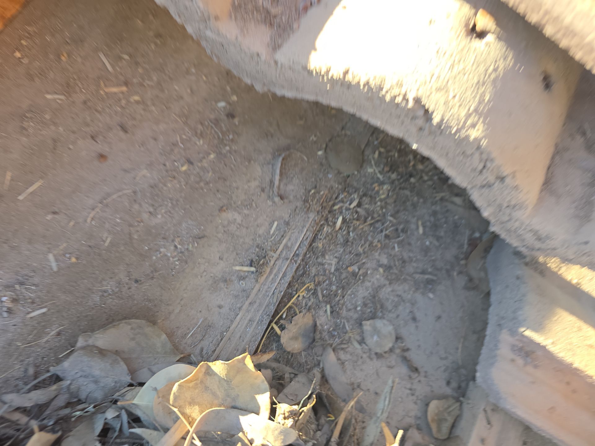 Gold Canyon Tile Reset by Weather-Tite Roofing