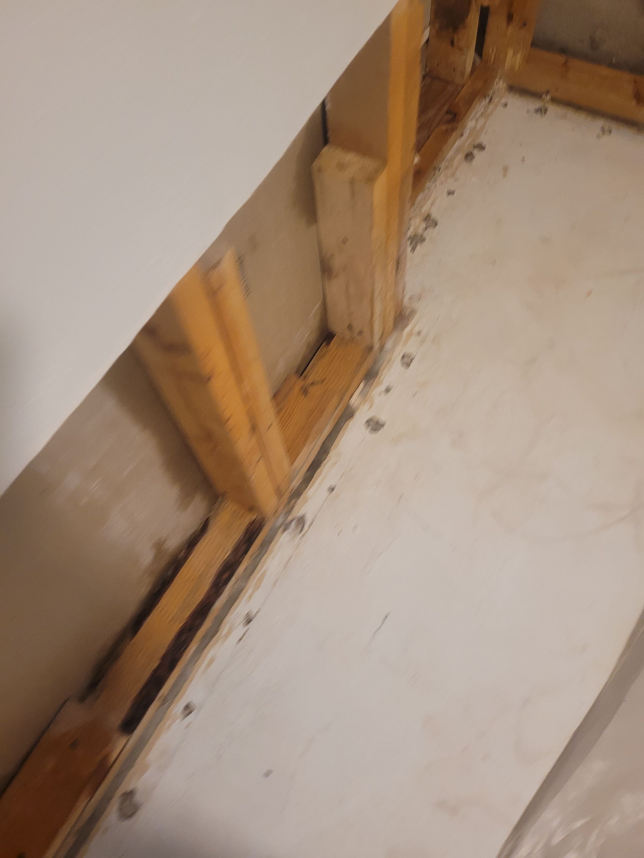 Water Damage  by Accountable Home Services