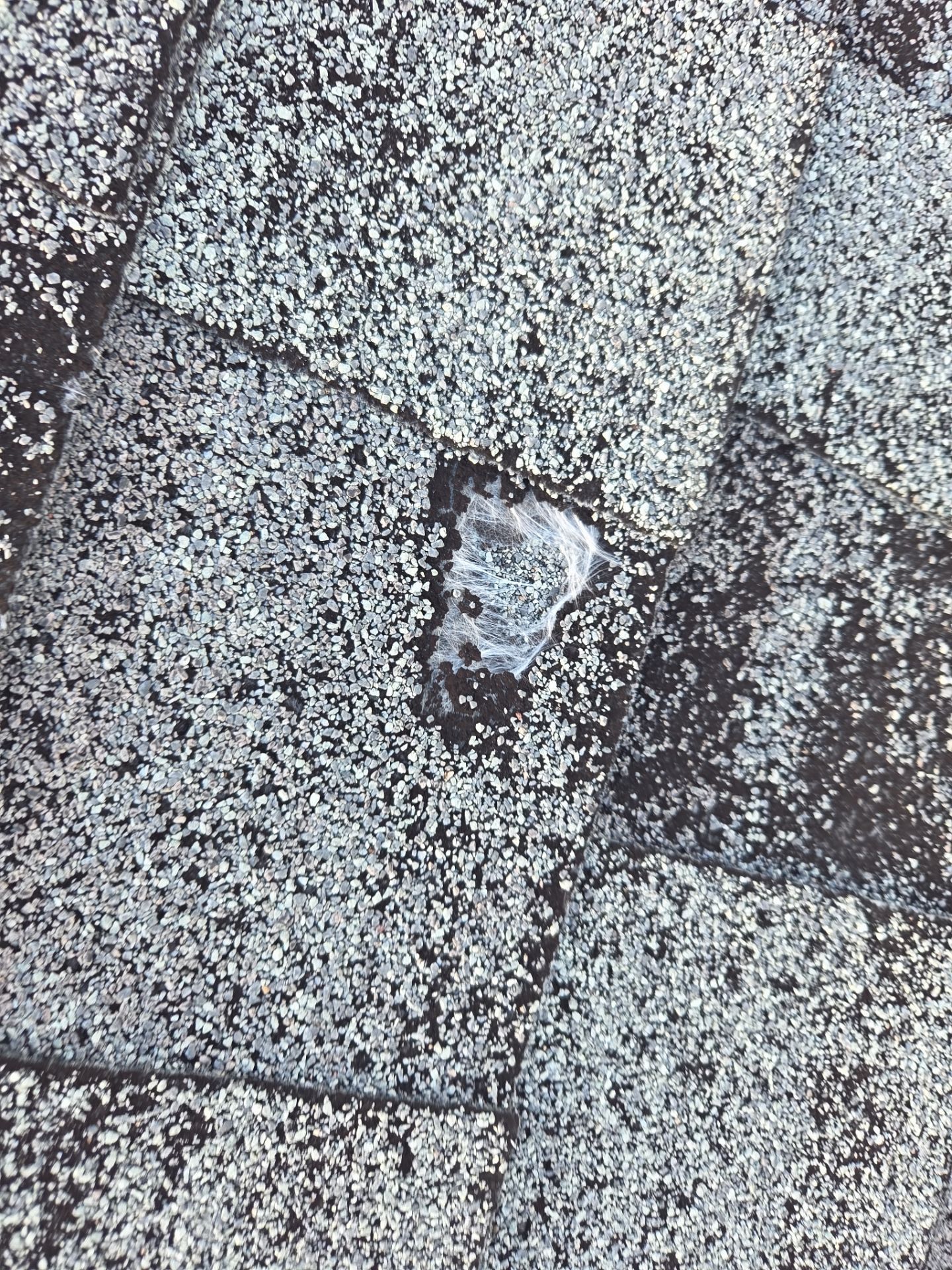 Asphalt Roof Replacement in Cullman by NANOROOF Alabama