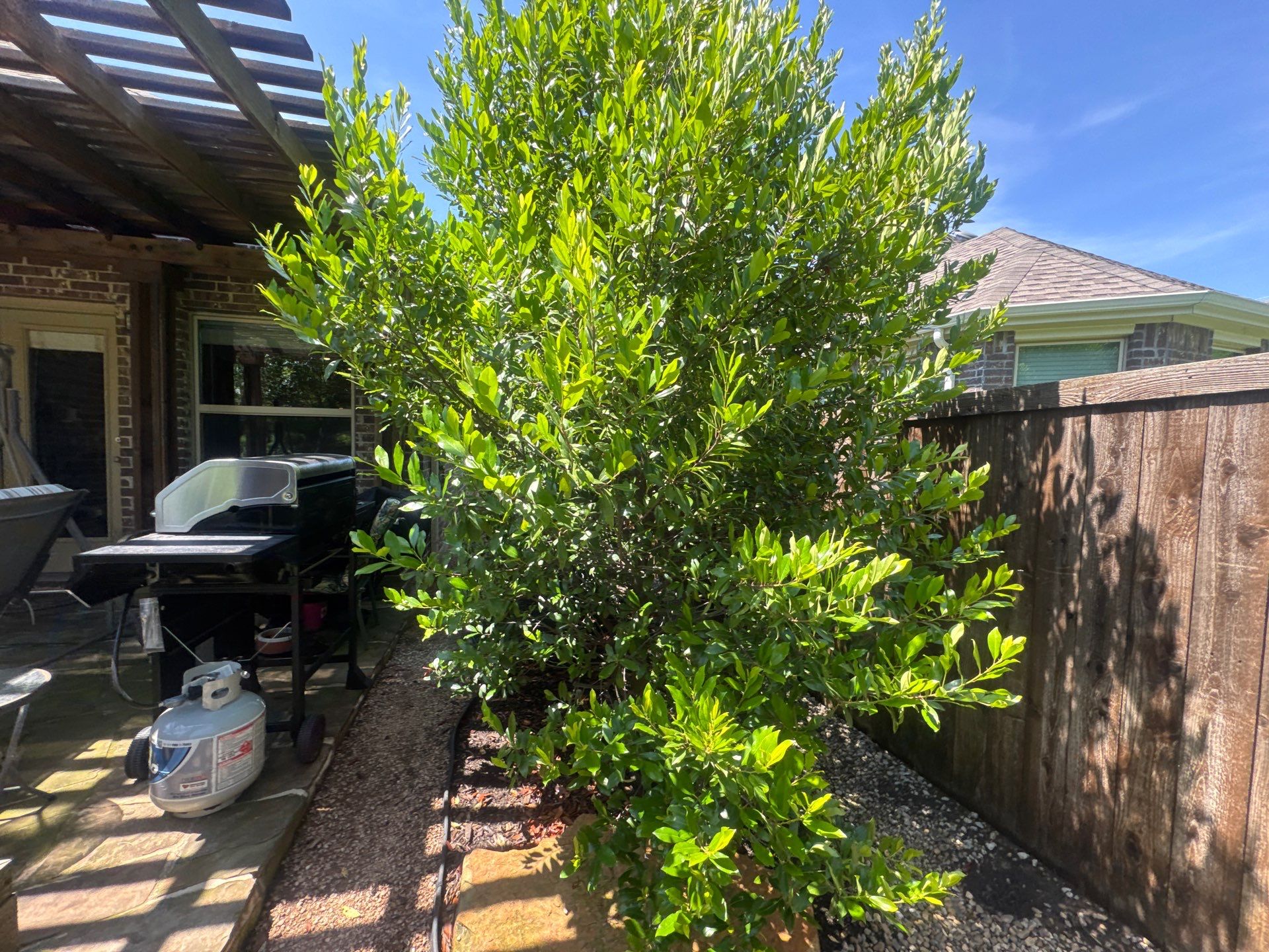 Project in McKinney, TX by NIMBUS GENERAL CONTRACTORS, LLC